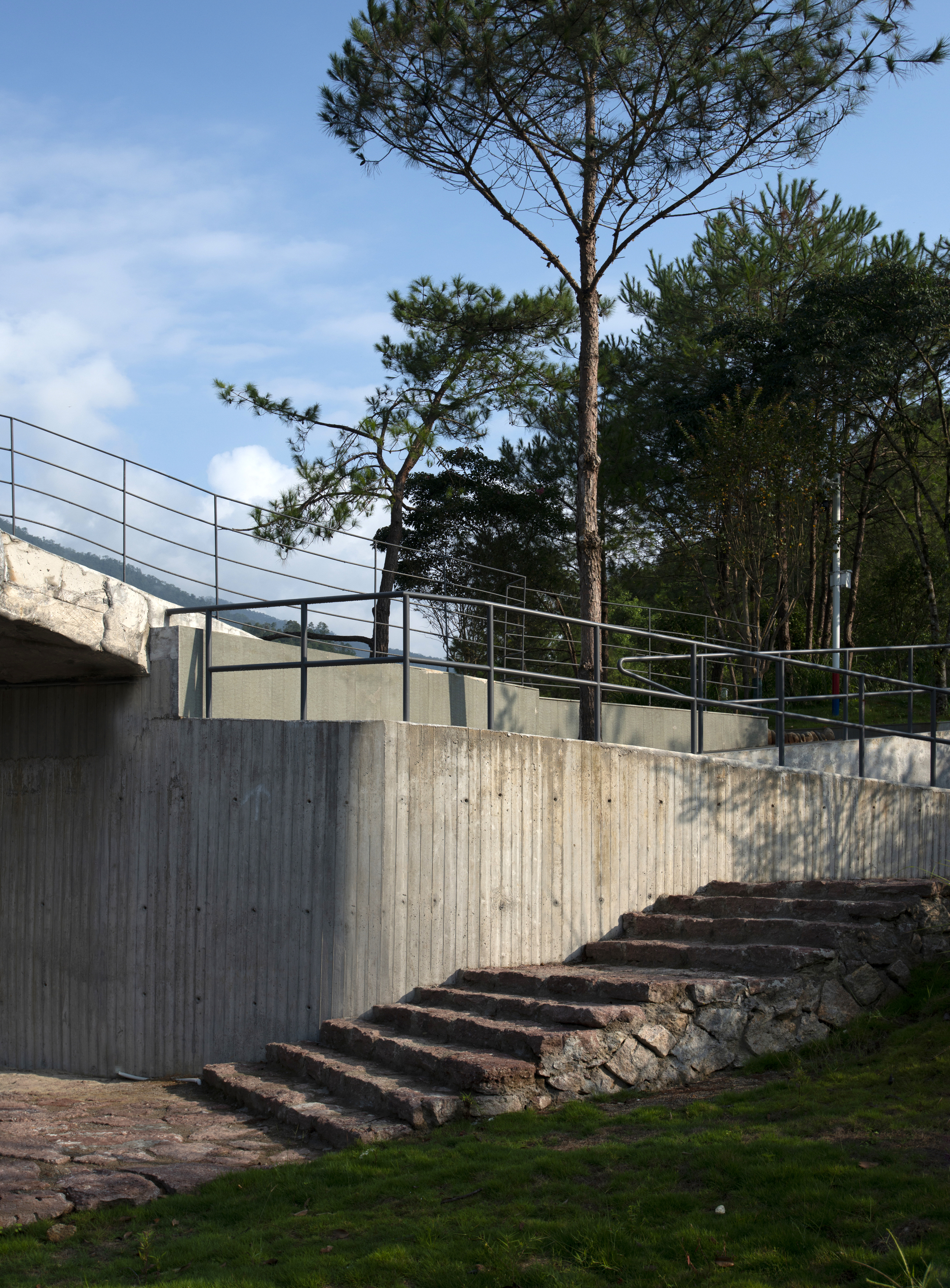 Board-formed concrete retaining wall with metal railings above weathered stone steps under pine trees