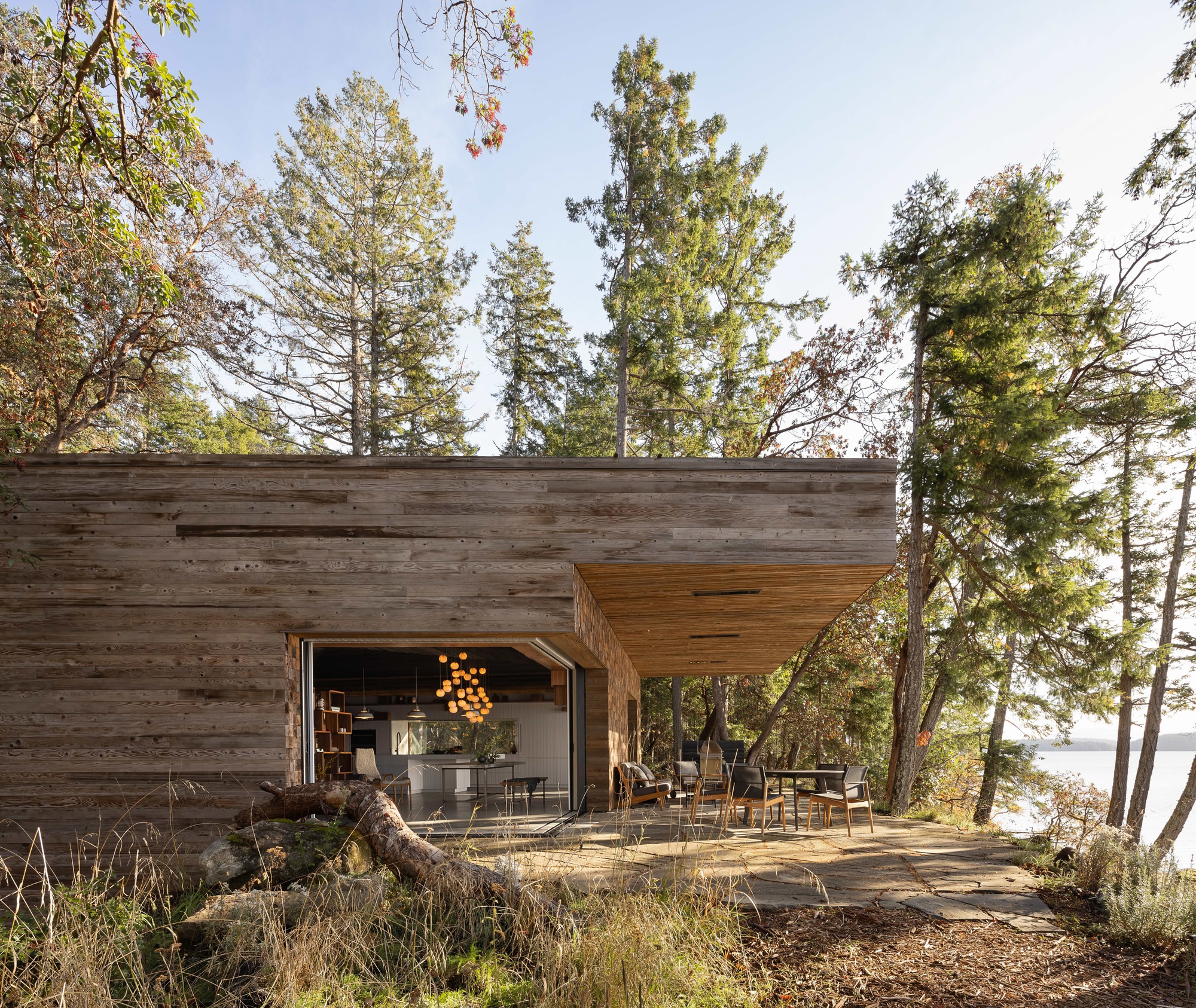 Horizontal timber-clad facade with covered terrace and large opening framed by tall conifers in afternoon light