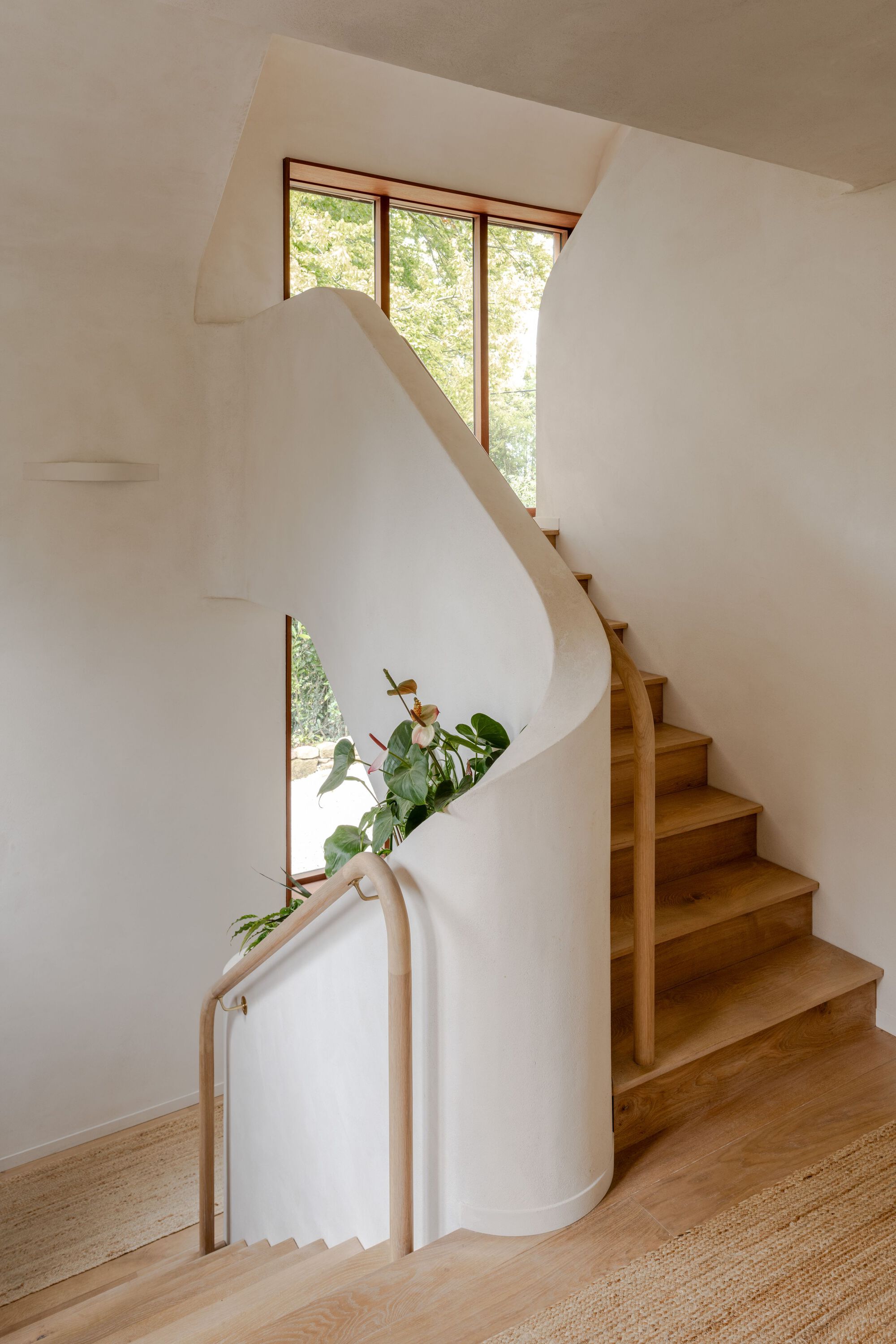 Curved timber staircase with pale handrail and clerestory window above planted corner