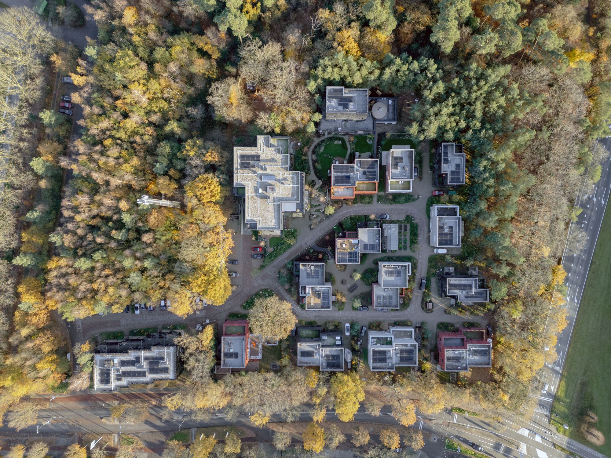 Aerial view of clustered flat-roofed housing units within autumn forest canopy