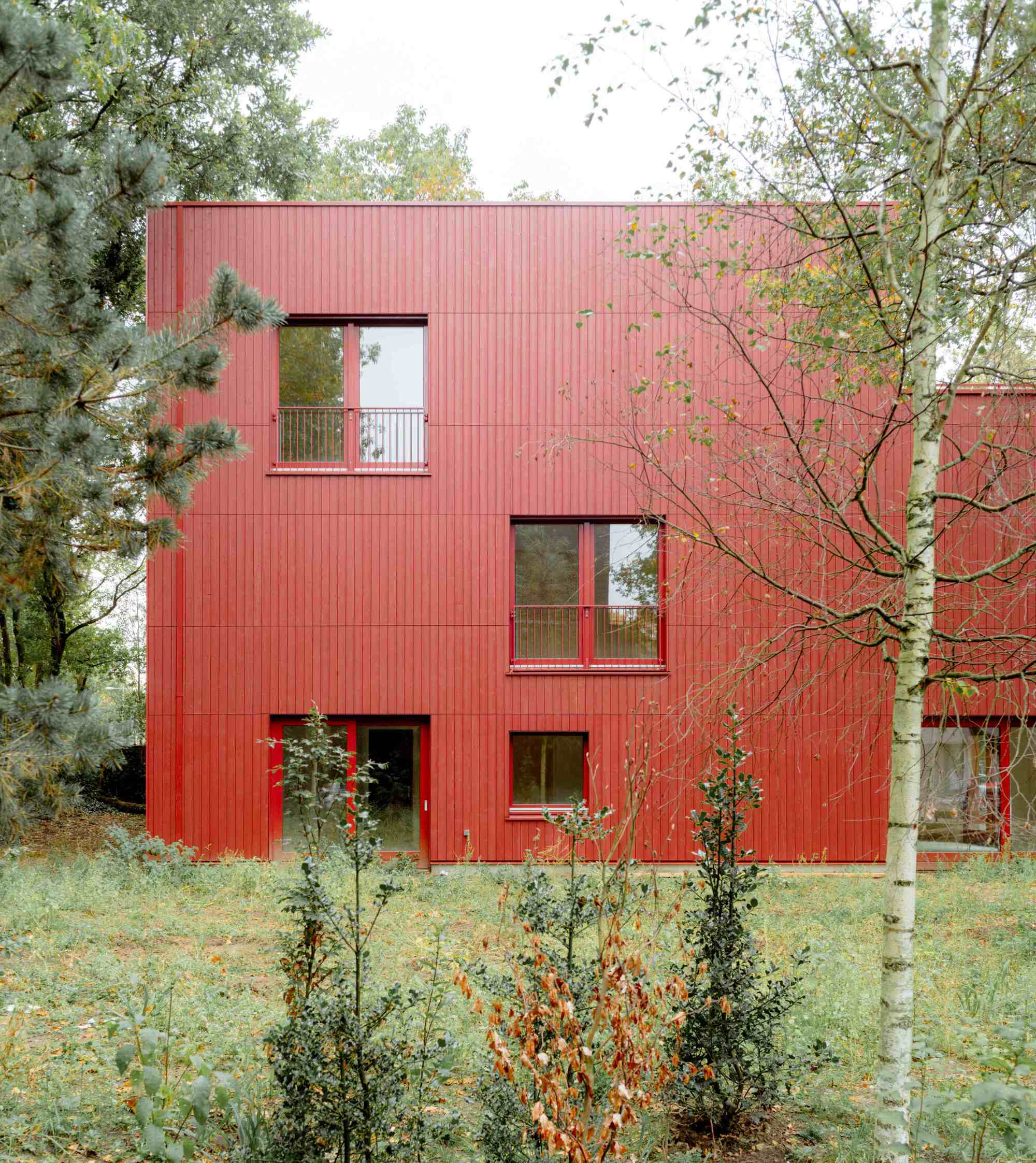 Red corrugated metal facade with offset windows set among birch trees and wild grasses in autumn