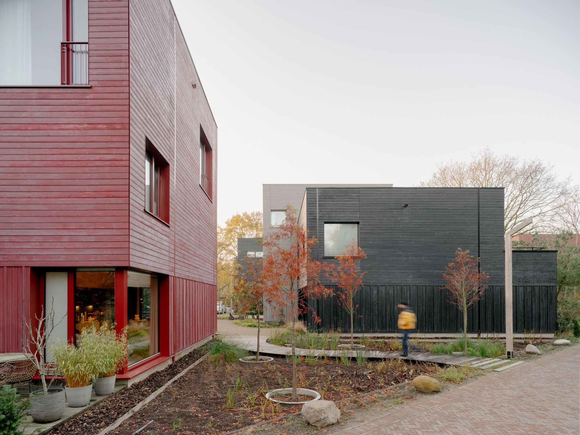Shared courtyard with red and dark grey timber-clad housing blocks among young trees in autumn