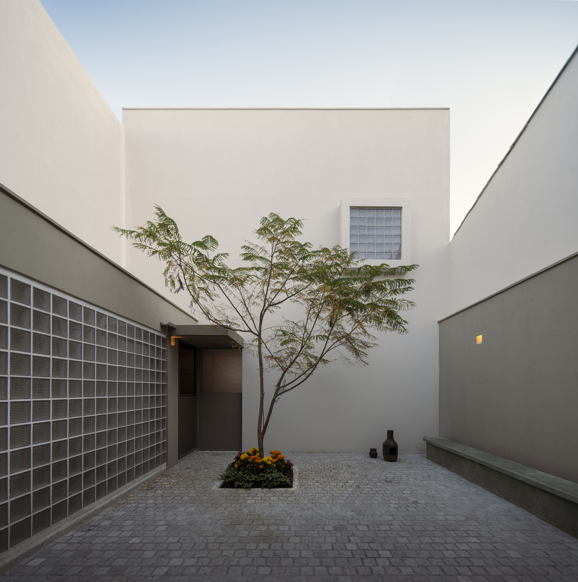 Courtyard paved with grey stone pavers, framed by glass block wall and slender tree at dusk