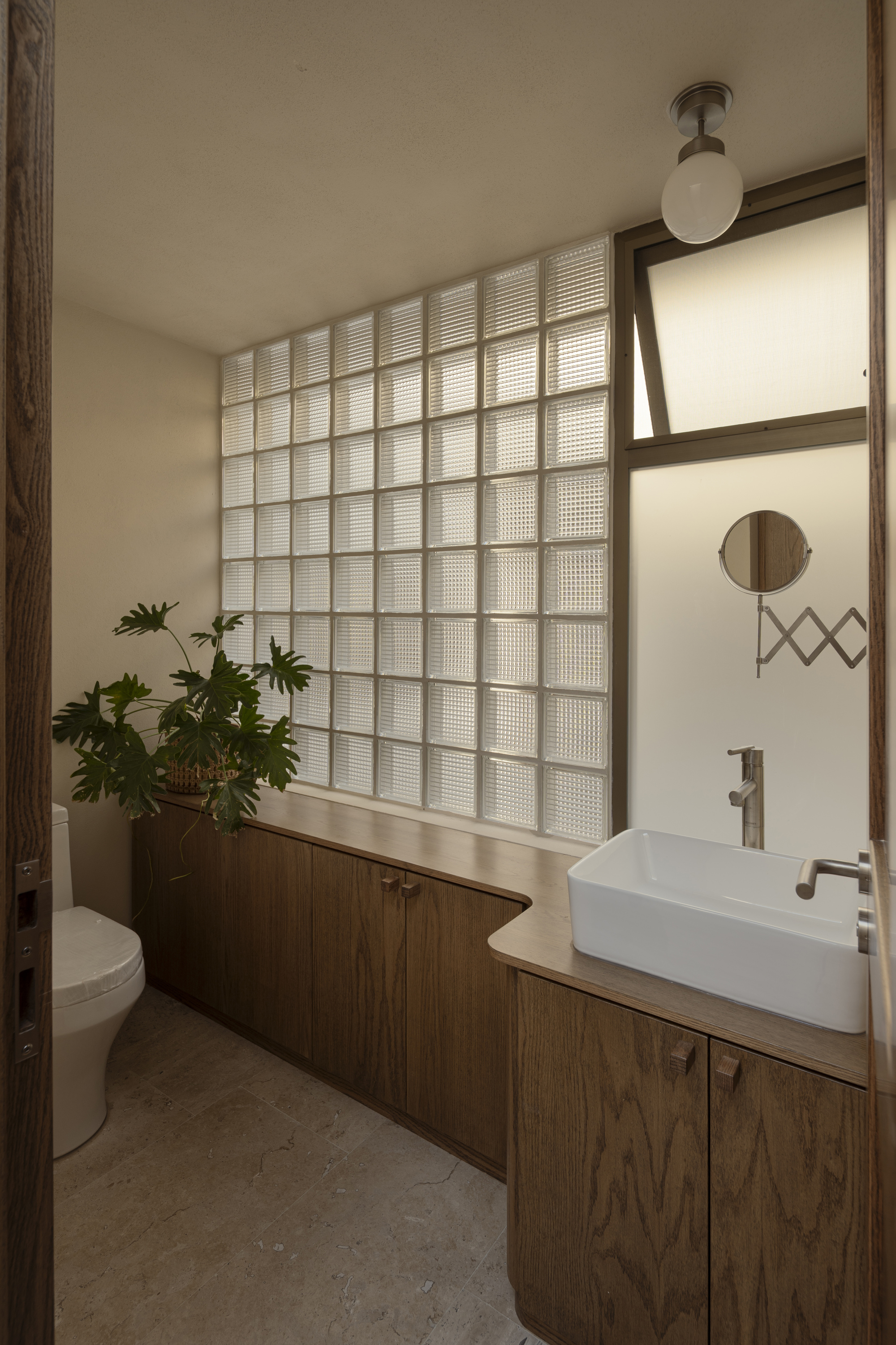 Bathroom vanity with wood cabinetry beneath a translucent glass block wall and potted plant