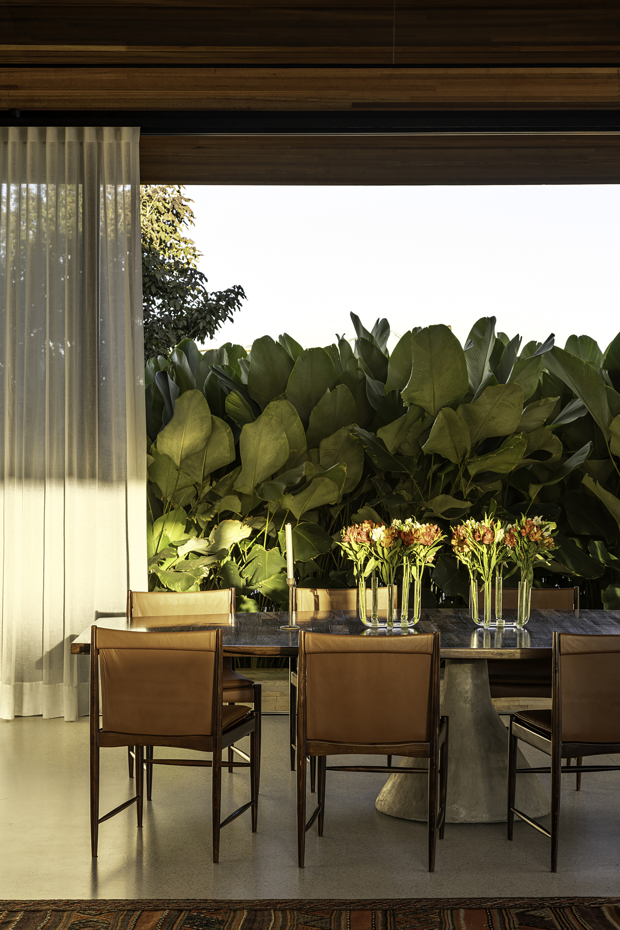 Dining table with leather chairs beside floor-to-ceiling glass and large-leaved plantings catching late afternoon sun