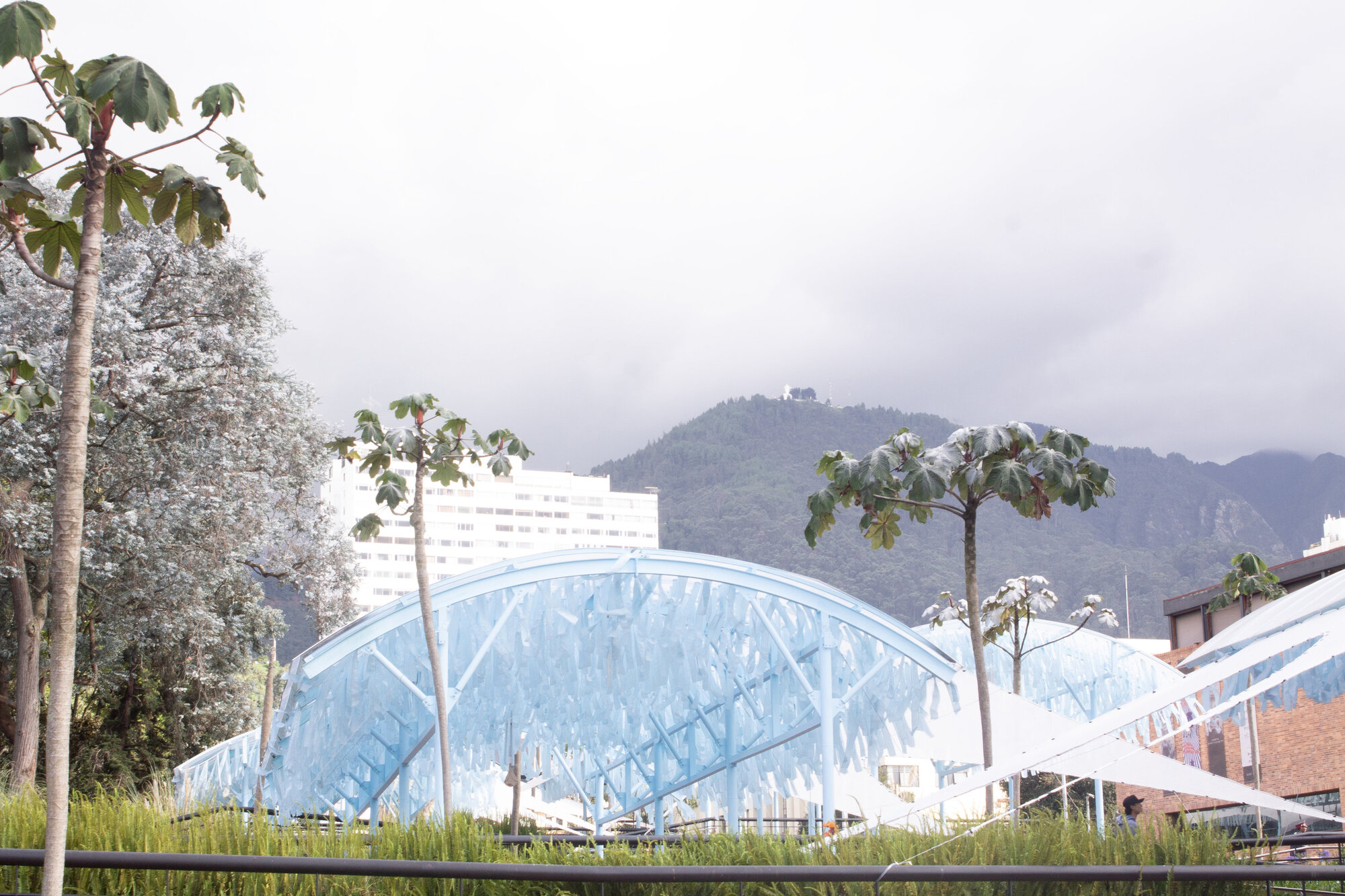 Arched canopy with translucent blue panels set among planted grasses and young trees with mountains behind