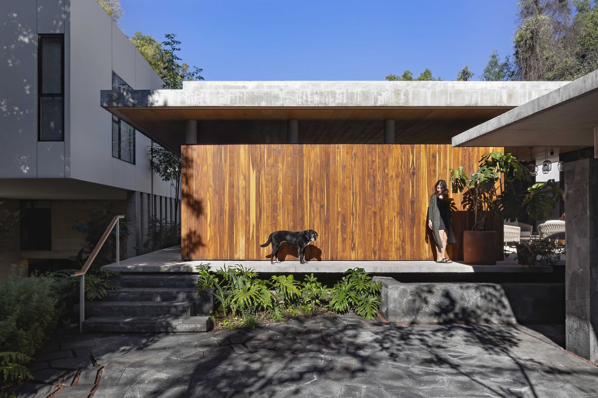 Concrete and timber pavilion volume seen from the entrance courtyard with a person and a dog on the platform