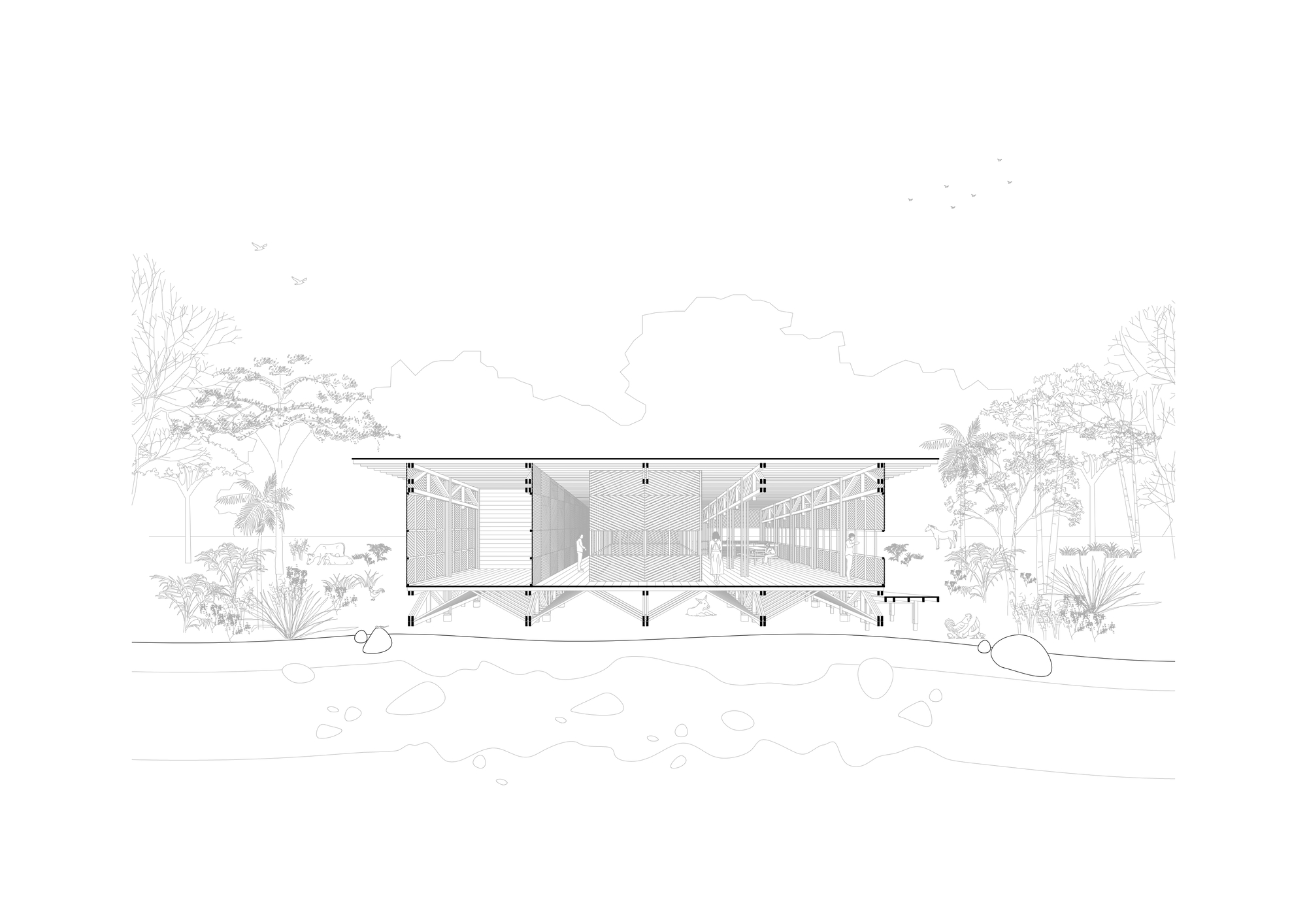 Section drawing through the pavilion with tropical vegetation and clouds sketched in the surrounding landscape