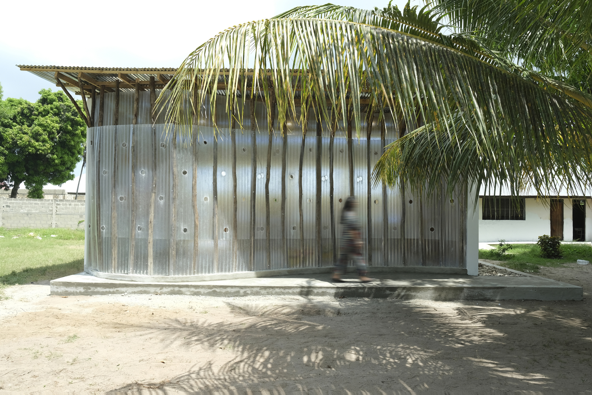 Curved corrugated metal facade with circular openings beneath overhanging palm fronds and dappled shade