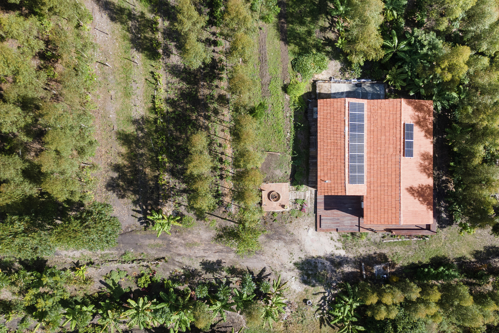 Aerial view of a brick and solar panel roof surrounded by forest clearing and scattered vegetation