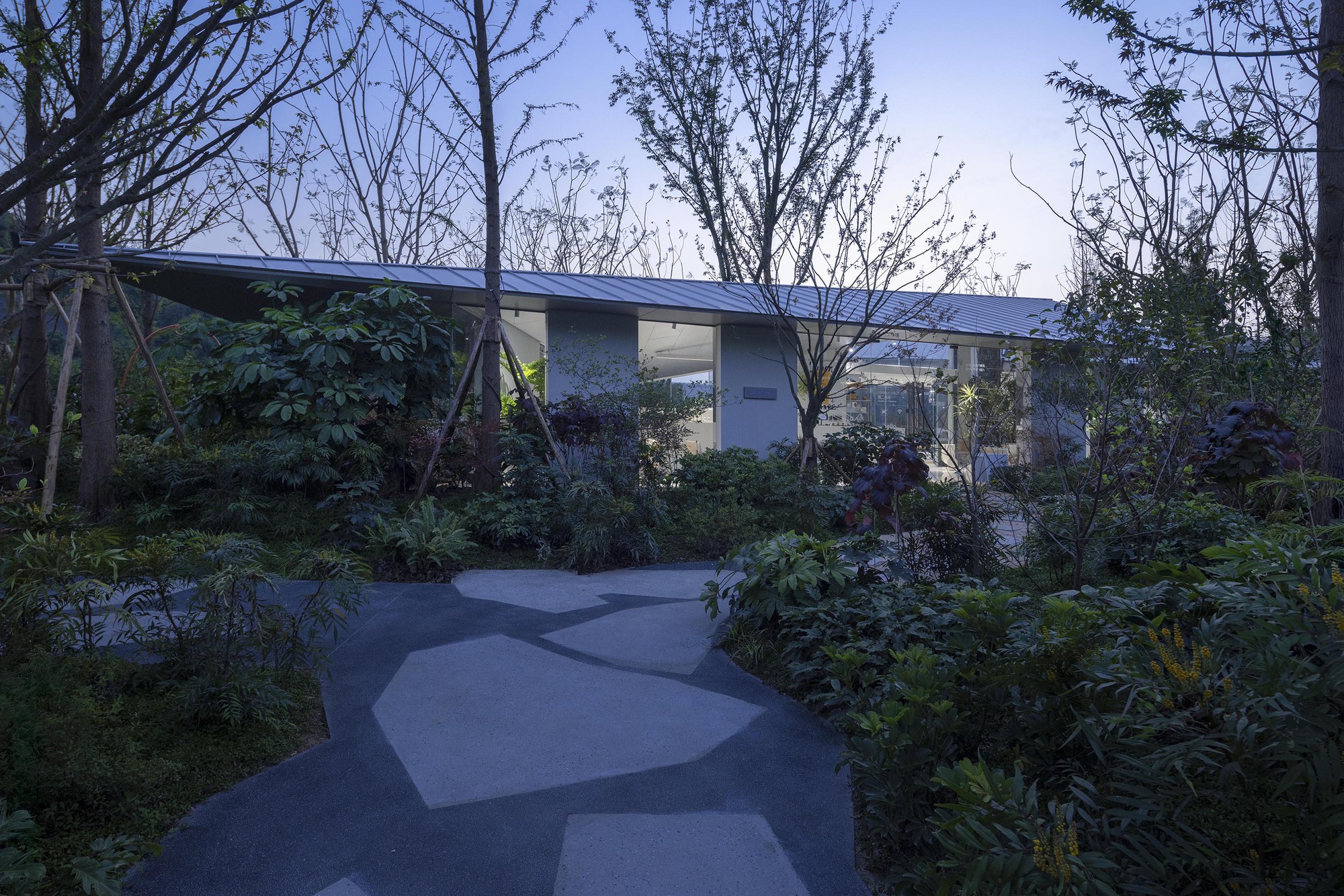 Curving pathway through planted garden leading to low-slung building with folded roof at dusk