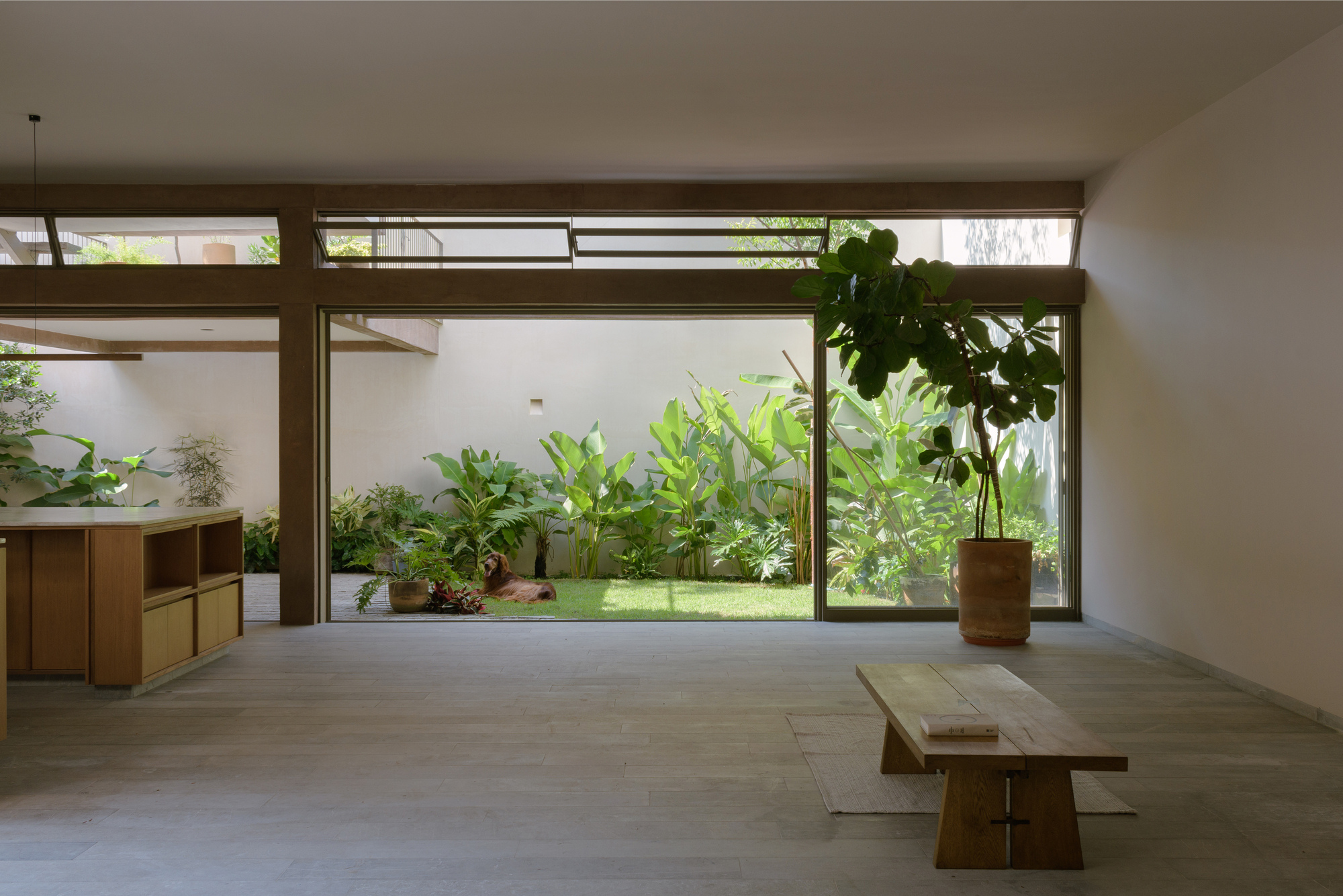 Living space with floor-to-ceiling glazing overlooking a garden courtyard with banana plants and lawn