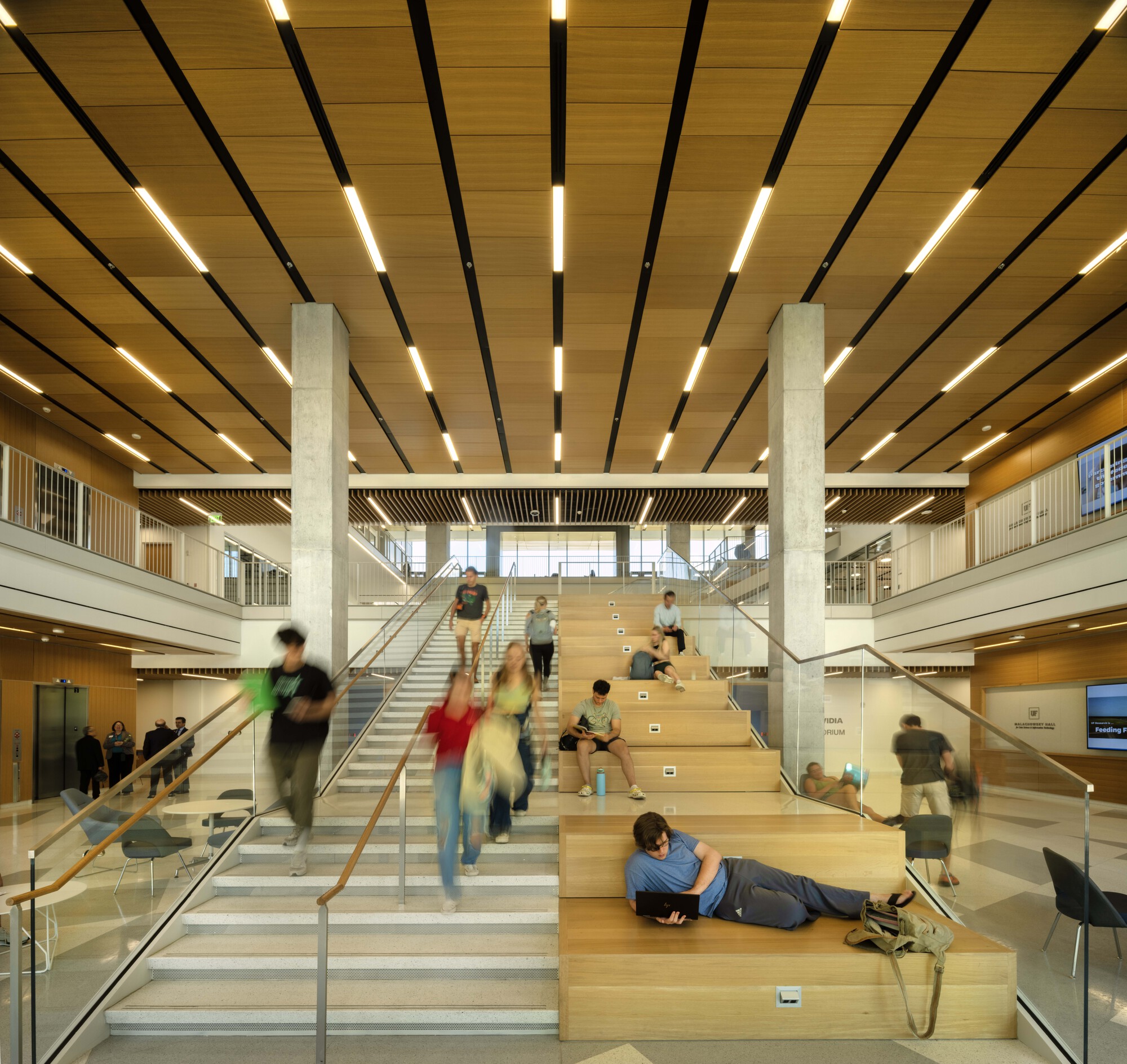 Central timber stair and amphitheater seating under slatted wood ceiling with integrated linear lighting