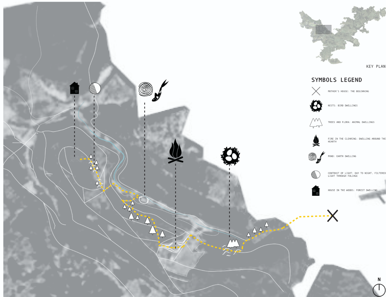 Experiential site map tracing a rhythmic journey of forest dwellings, clearings, and moments of intimacy along the path.