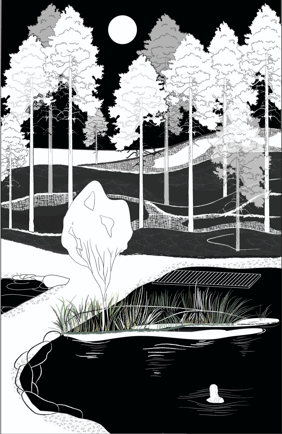 Valley pond as a moment of stillness, where landscape, reflection, and solitude converge into spatial introspection.