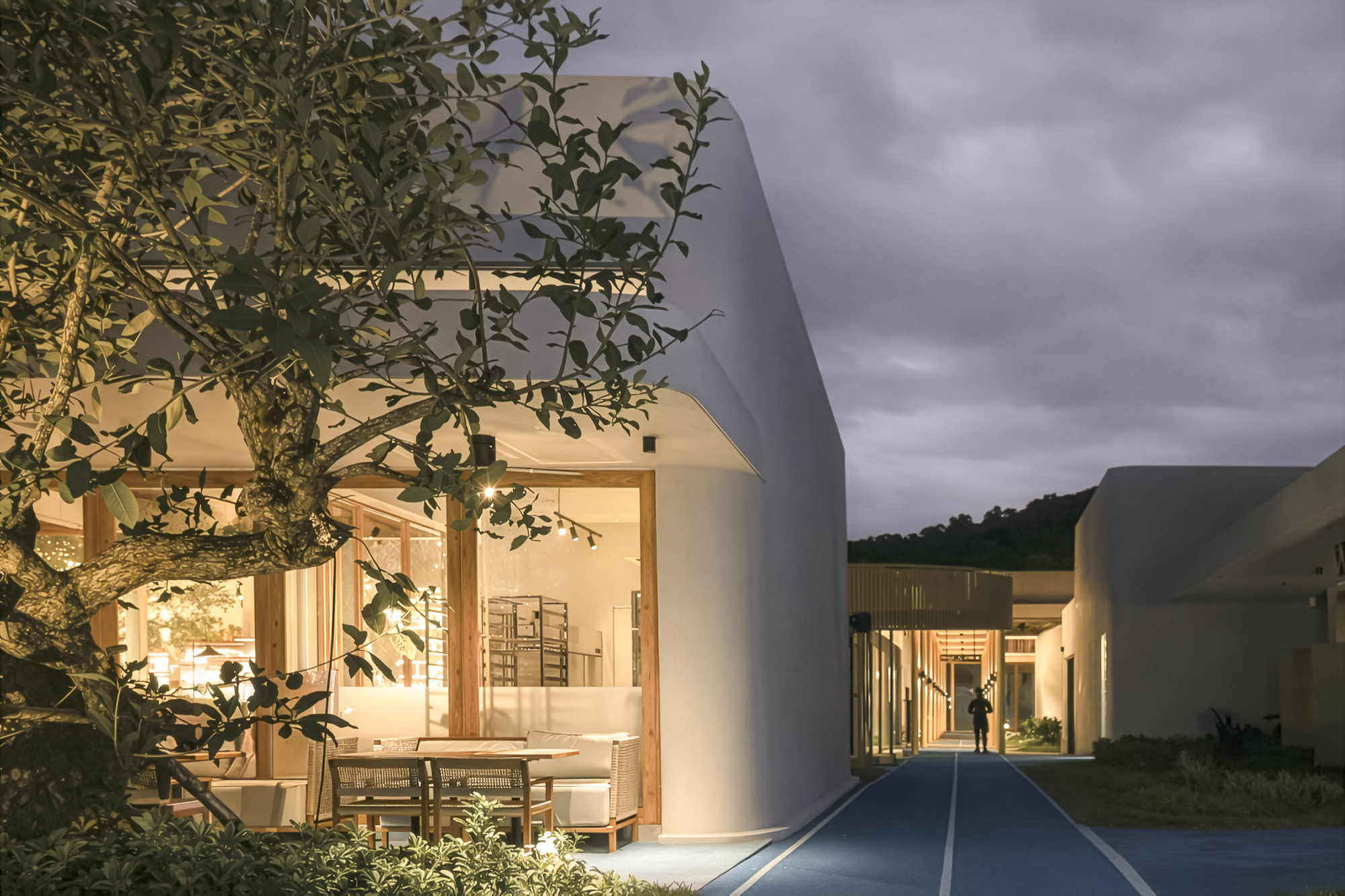 Illuminated white volumes with glazed openings framed by a tree at dusk