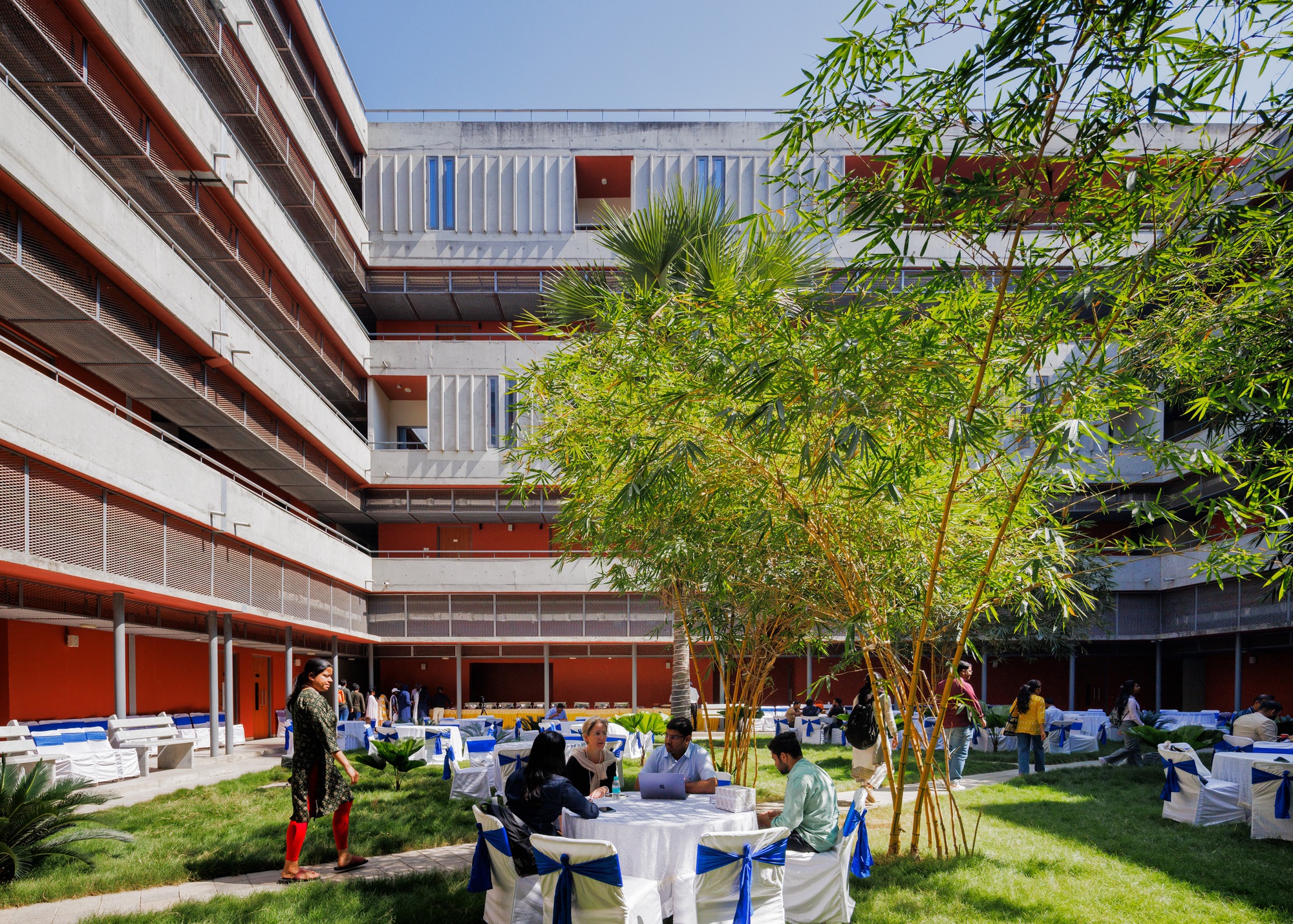 Inner courtyard with a clump of bamboo and people seated at outdoor tables