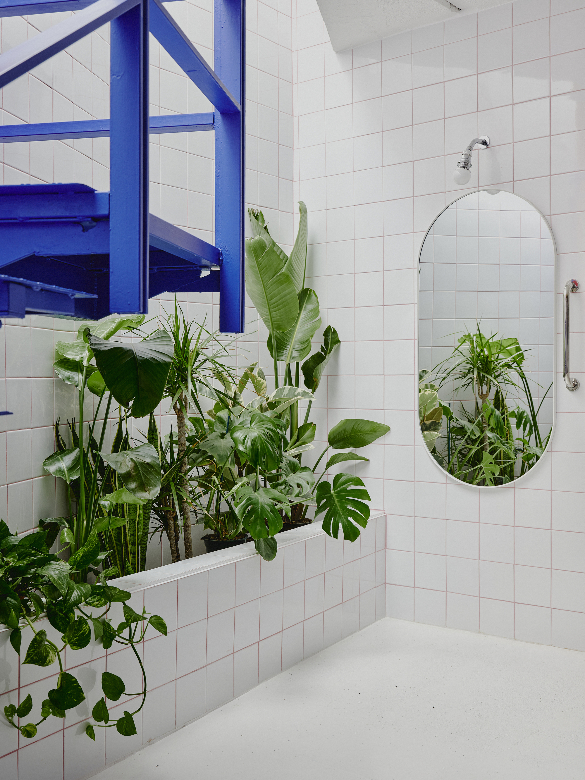 White tile wall with oval mirror and integrated planter filled with tropical foliage beside a blue staircase