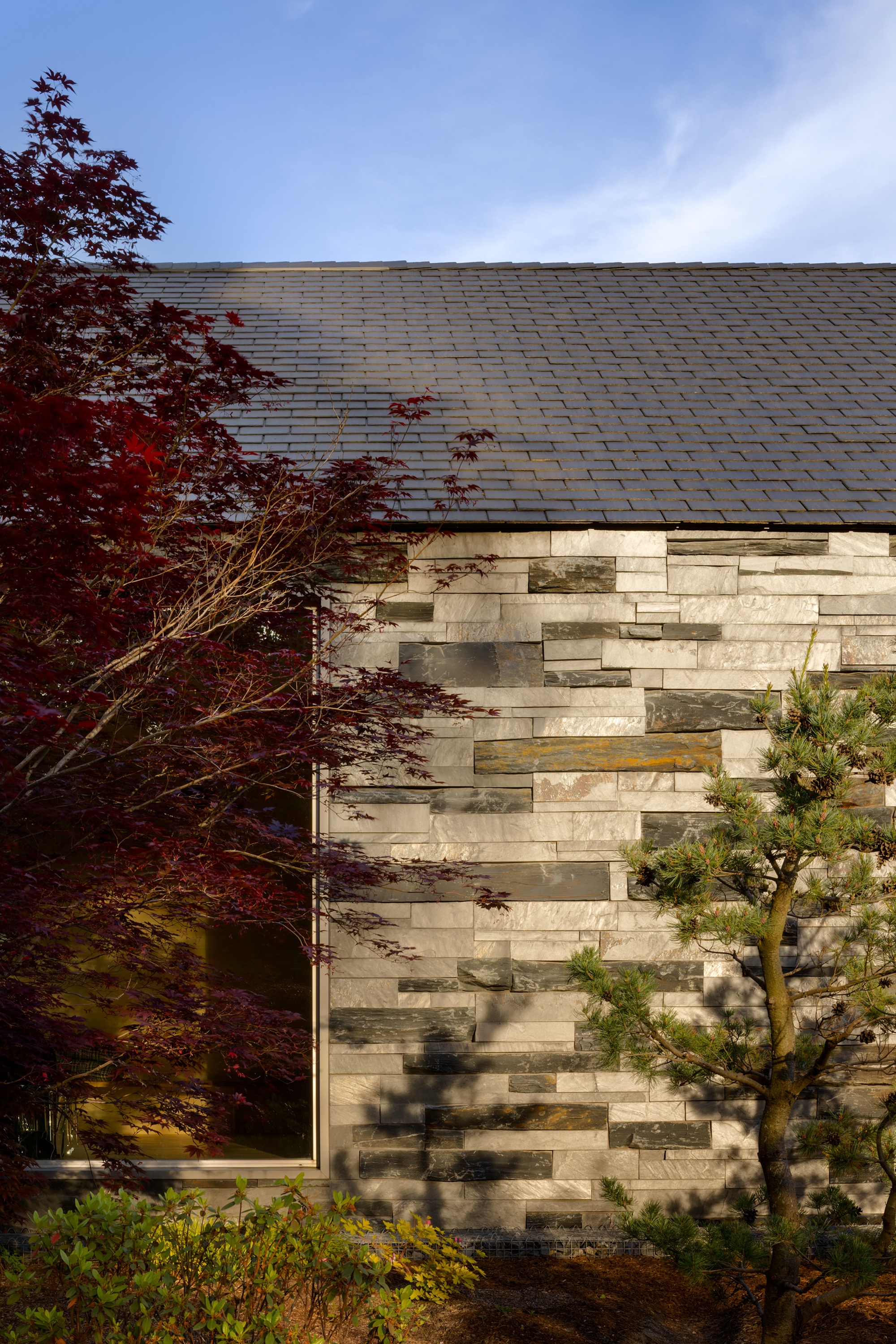 Slate roof meeting horizontal stone-clad wall with Japanese maple and small pine in the foreground at twilight