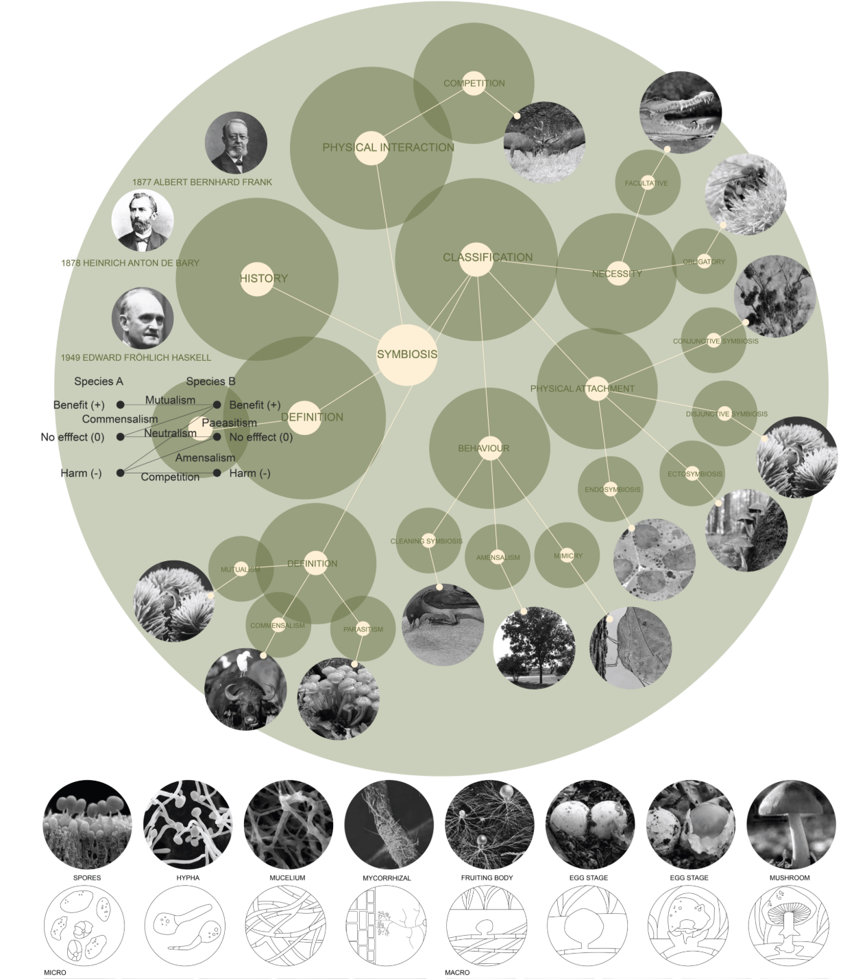 Symbiosis concept diagram exploring ecological relationships and interdependence across species and systems.
