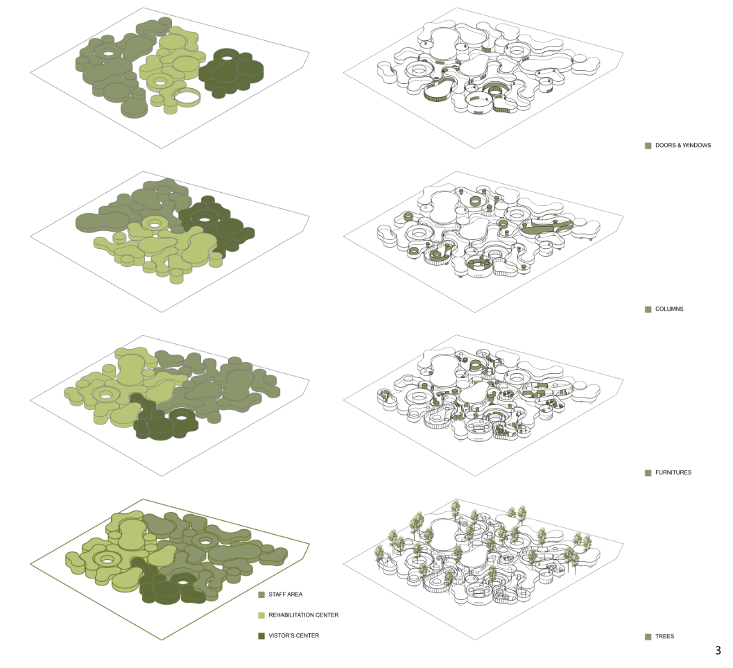 Organic layout evolution showing zonal distribution of rehabilitation, staff, and visitor spaces.
