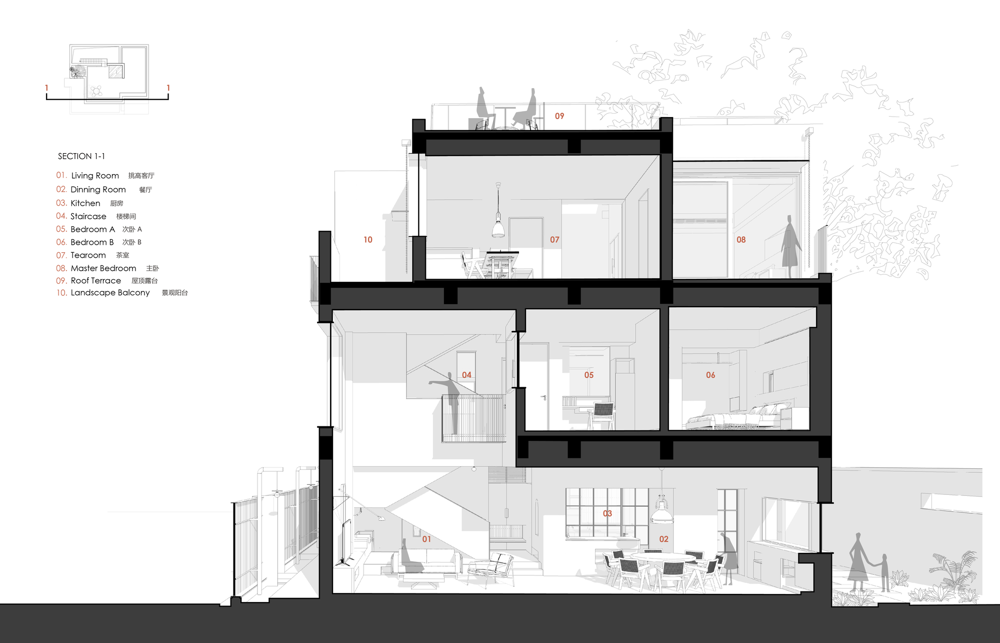 Building section drawing showing multi-level interior spaces with staircase and rooftop terrace with trees