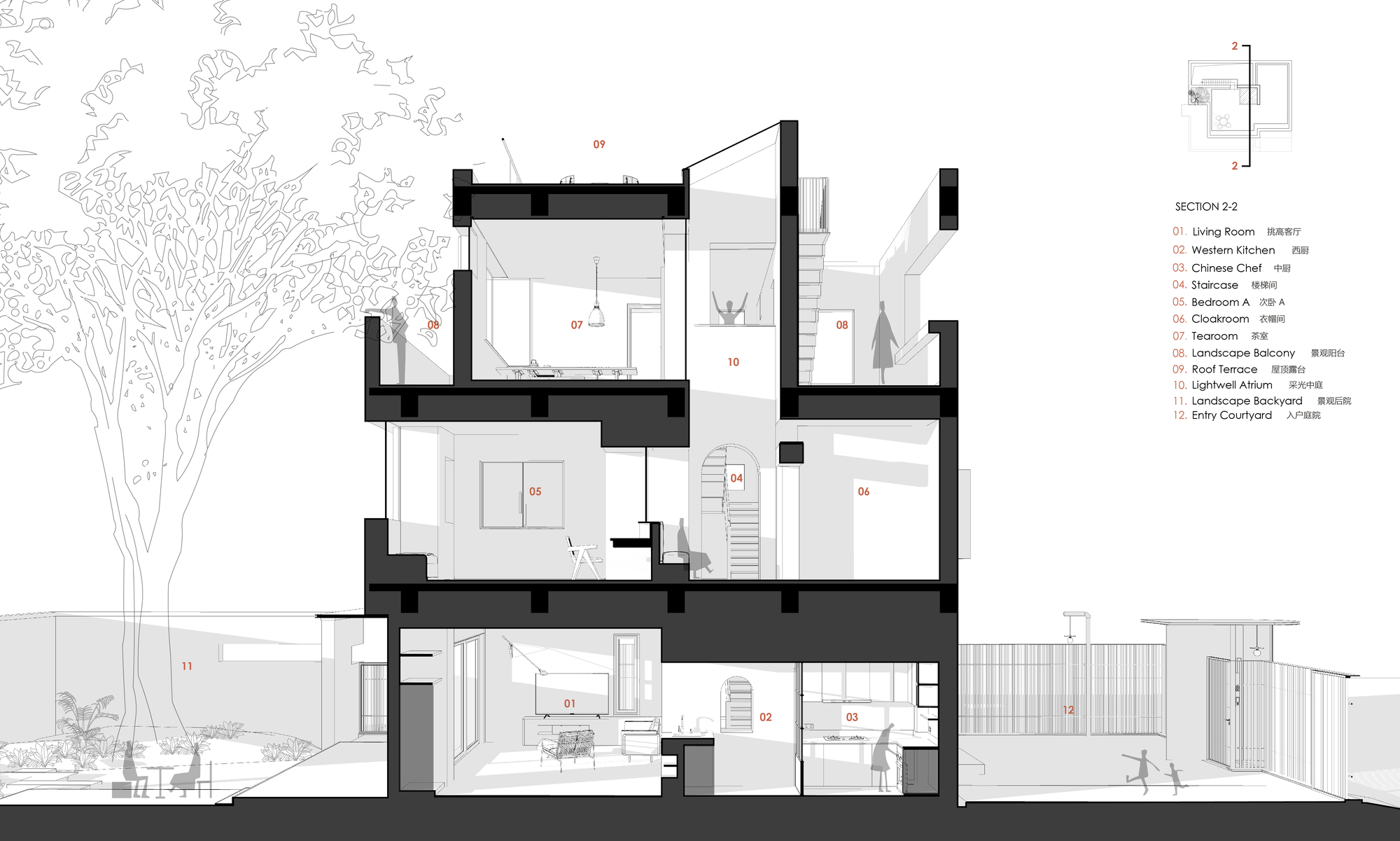 Section drawing revealing staggered floor levels, central stairwell and adjacent landscaping with large tree