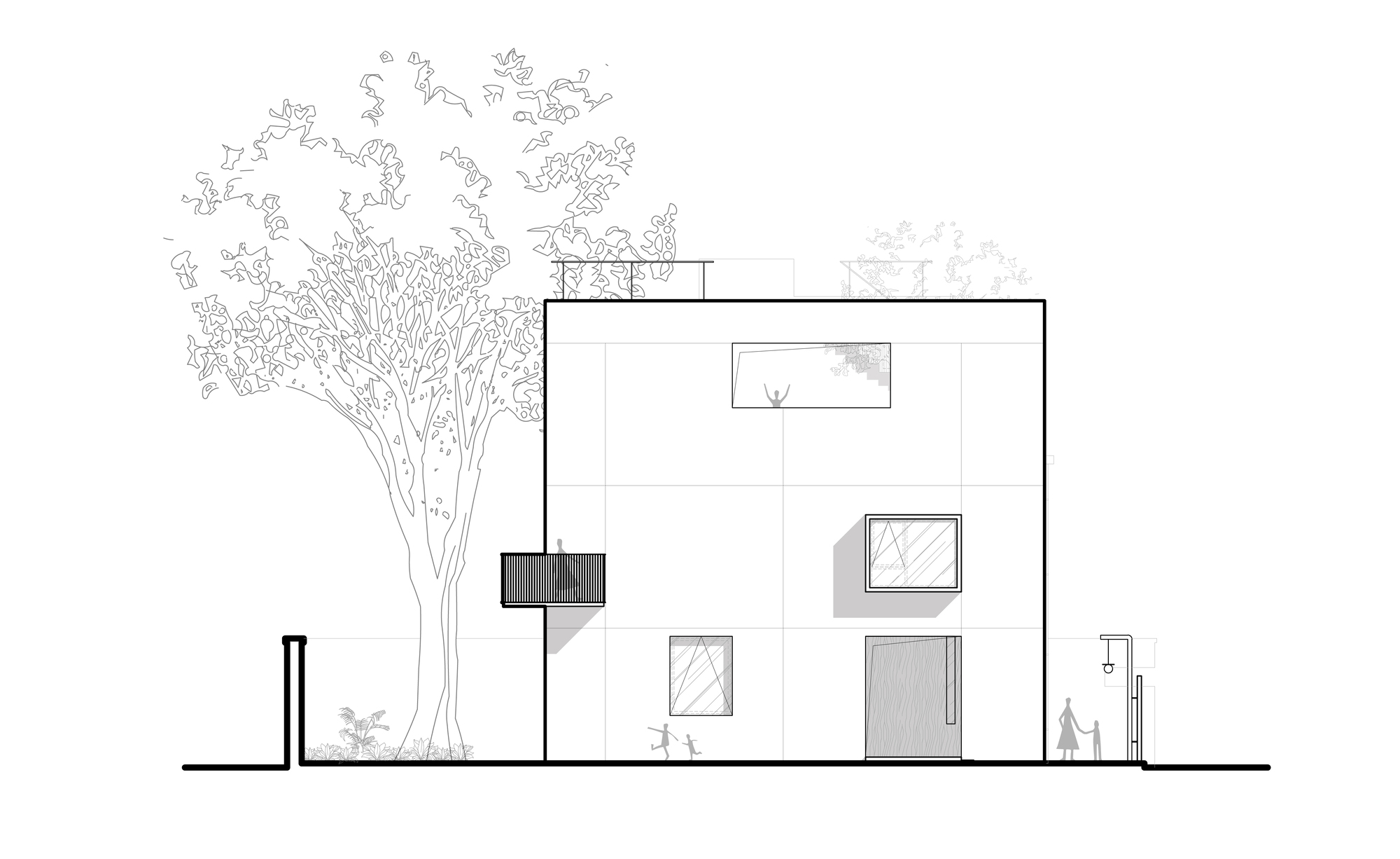 Elevation drawing of the facade with varied window openings and a large tree to the left