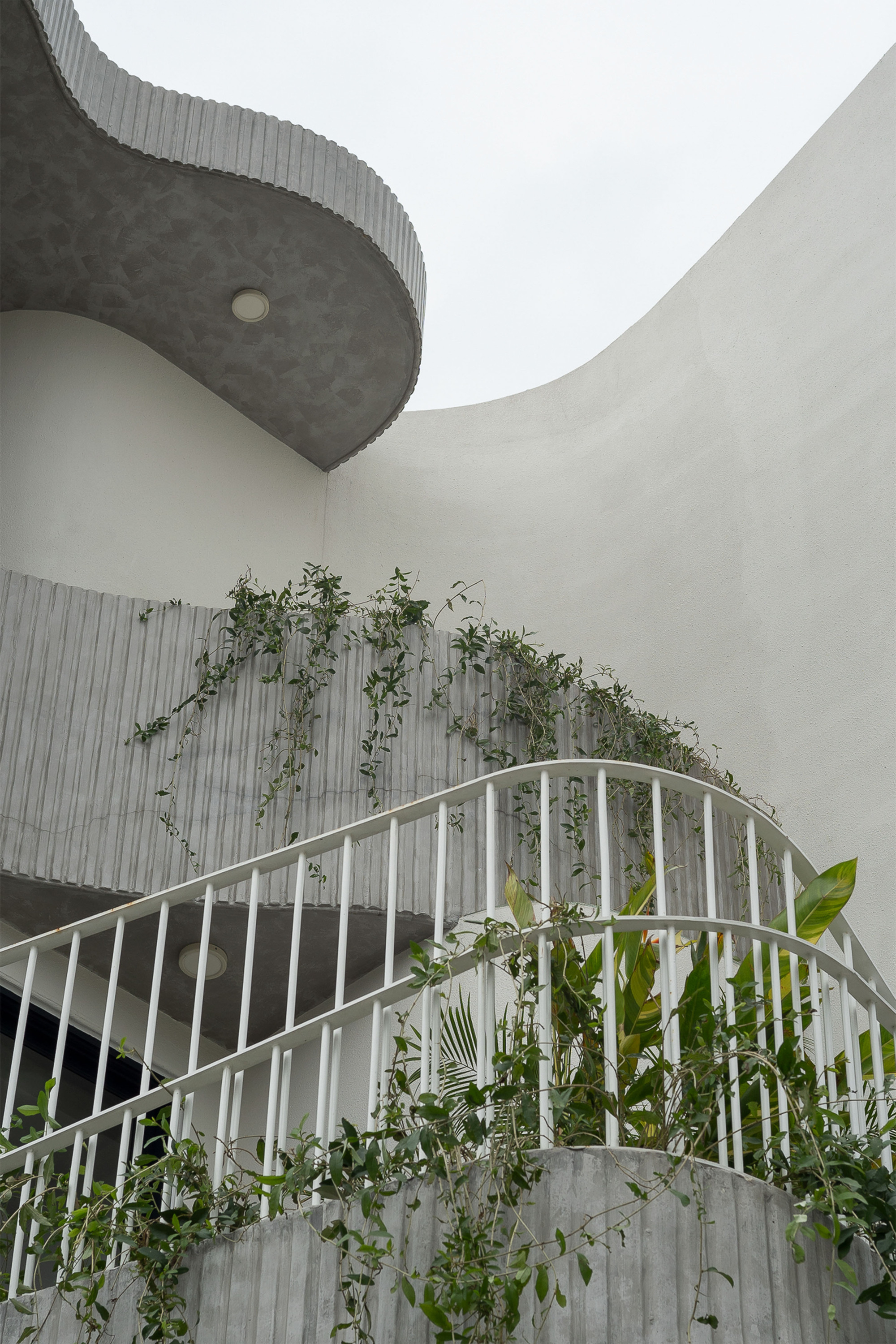 Curved balcony with white metal railing and climbing plants against corrugated walls