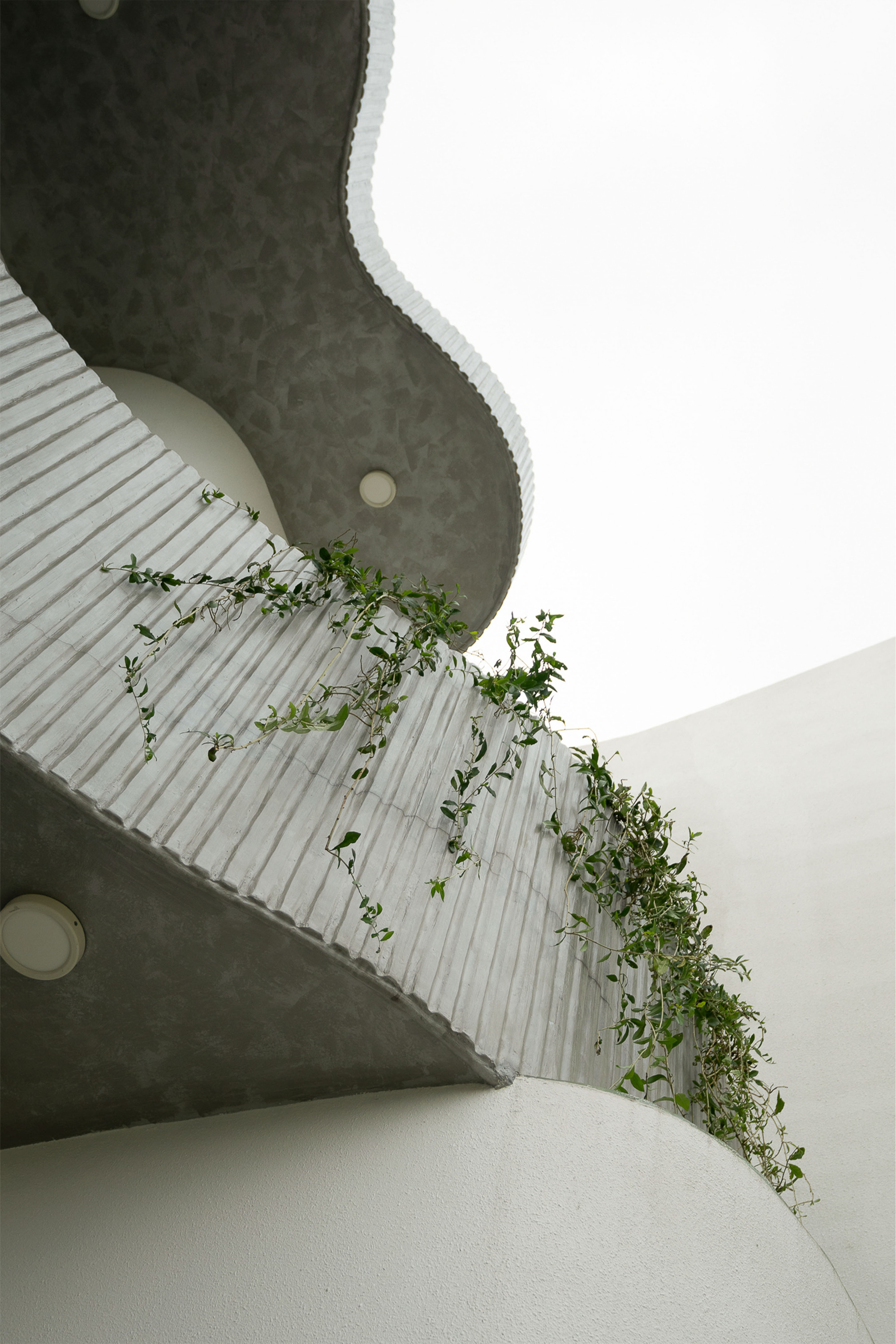 Curving white staircase with ribbed underside and trailing vines against concrete soffit