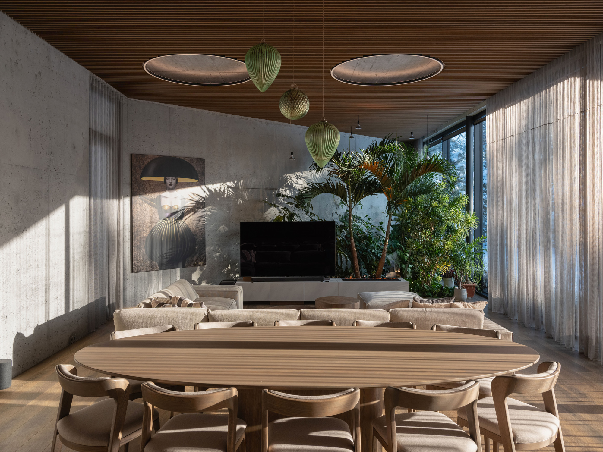 Open-plan living space with timber ceiling, circular pendant lights, and potted palms in afternoon sunlight