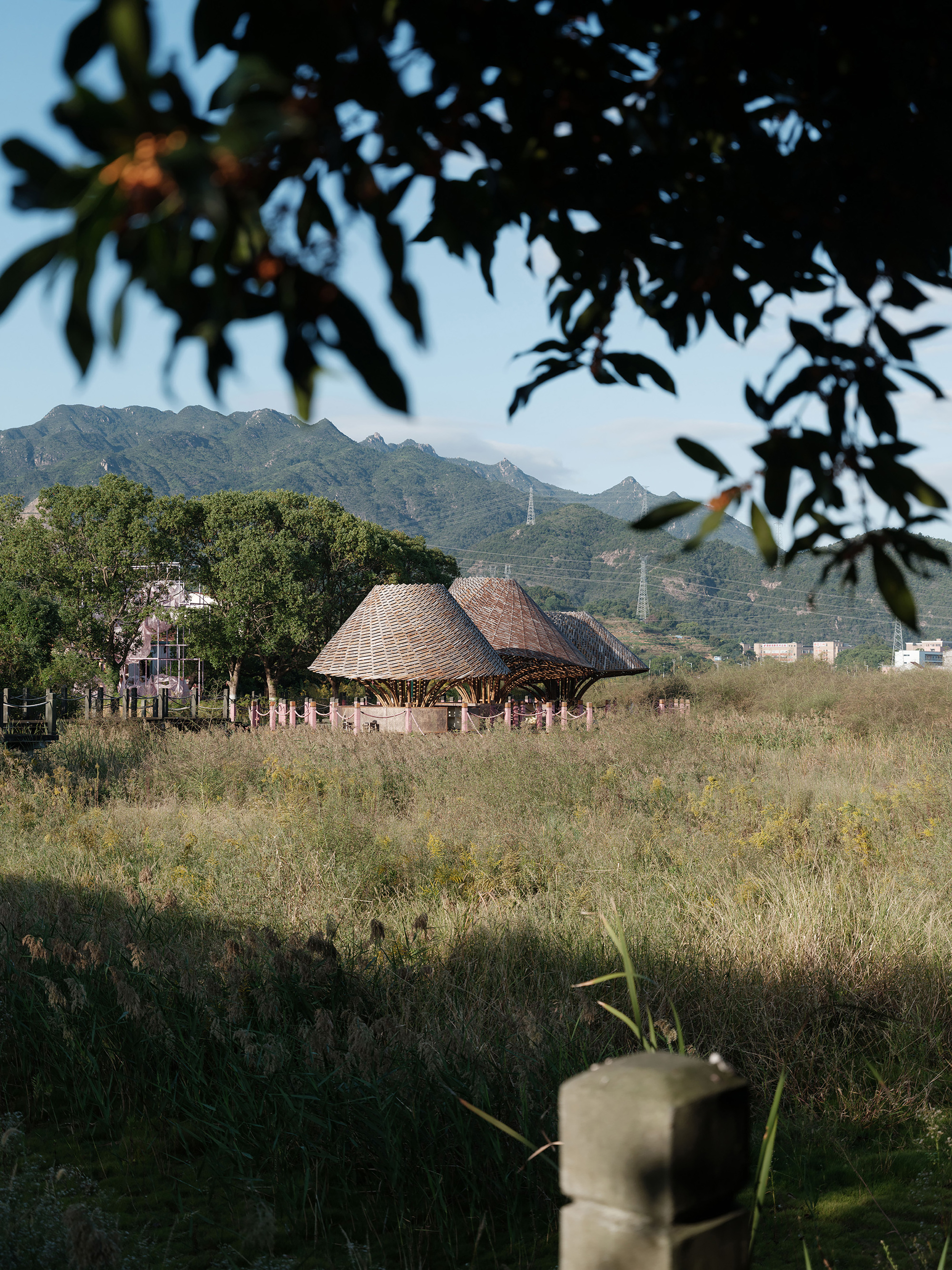 Distant view of conical bamboo roofs framed by overhanging tree branches and a grassy foreground