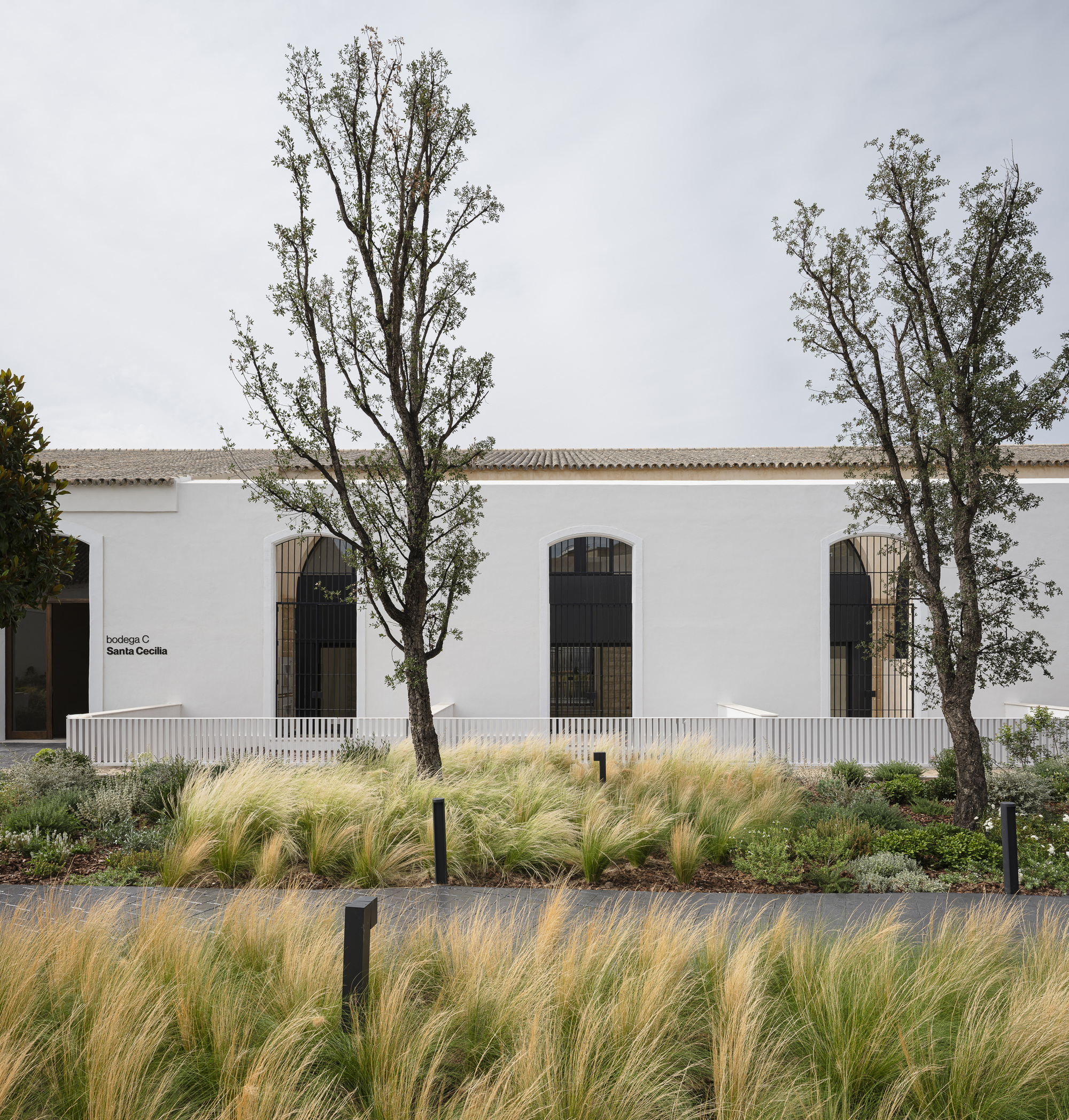 Whitewashed bodega elevation behind the wild grass garden