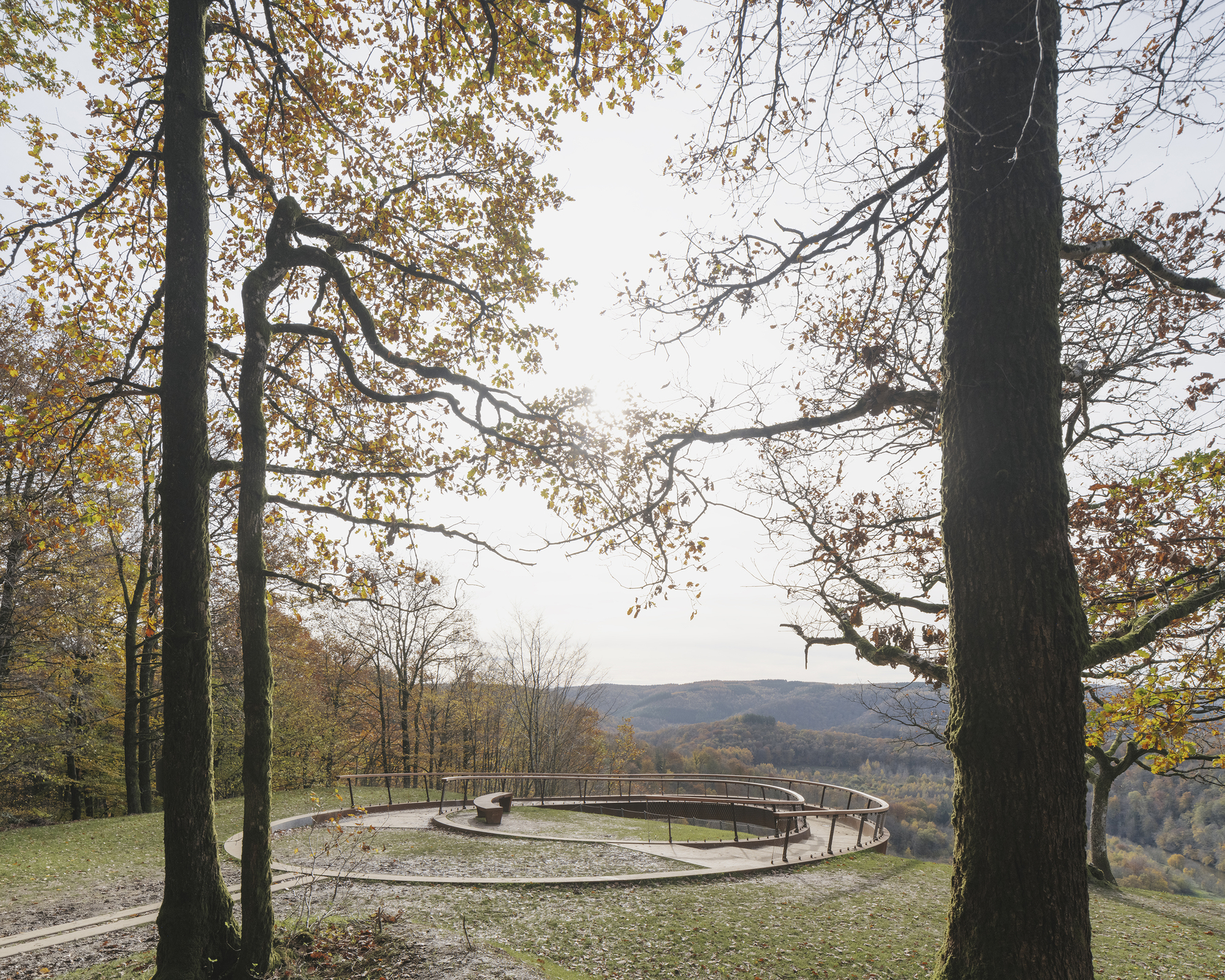 The circular weathering steel walkway sitting on the hilltop framed by oaks