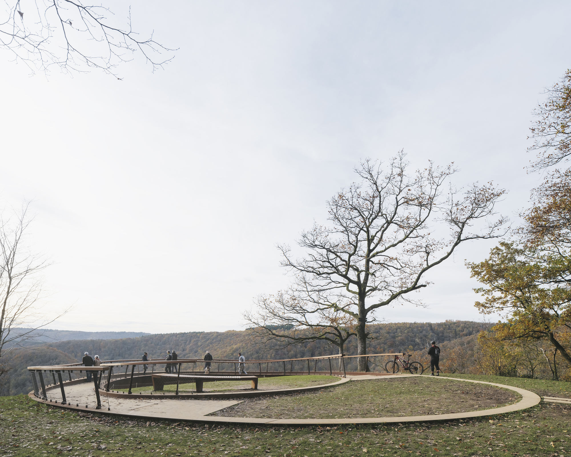 Wide view of the closed circular loop with a central tree and a path entering