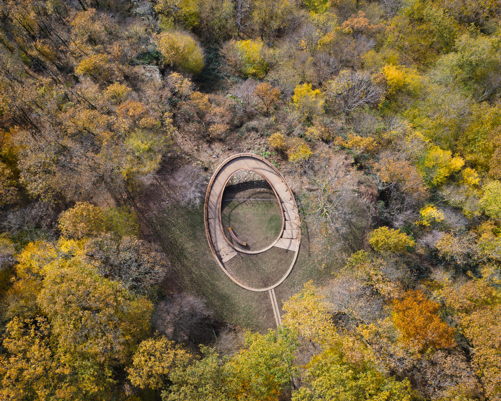 Drone view straight down on the closed loop in the autumn forest canopy