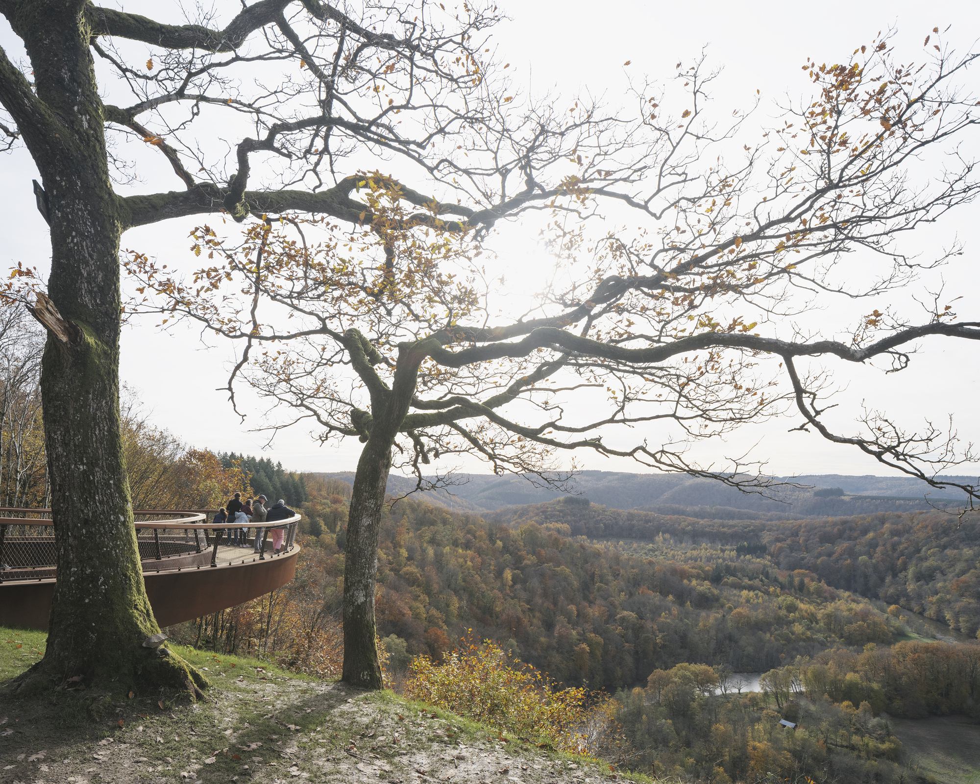 Two visitors looking out from the lookout above an autumn forest valley
