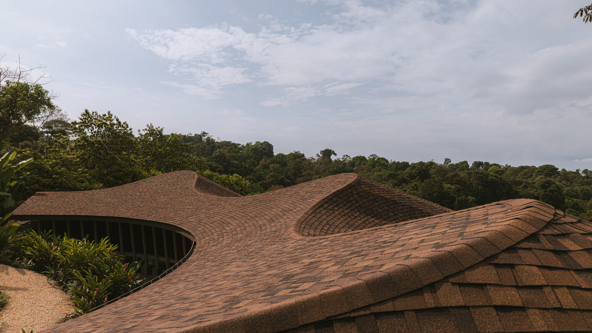 Detail of the curved shingled roof showing the way the surface twists and folds like a leaf