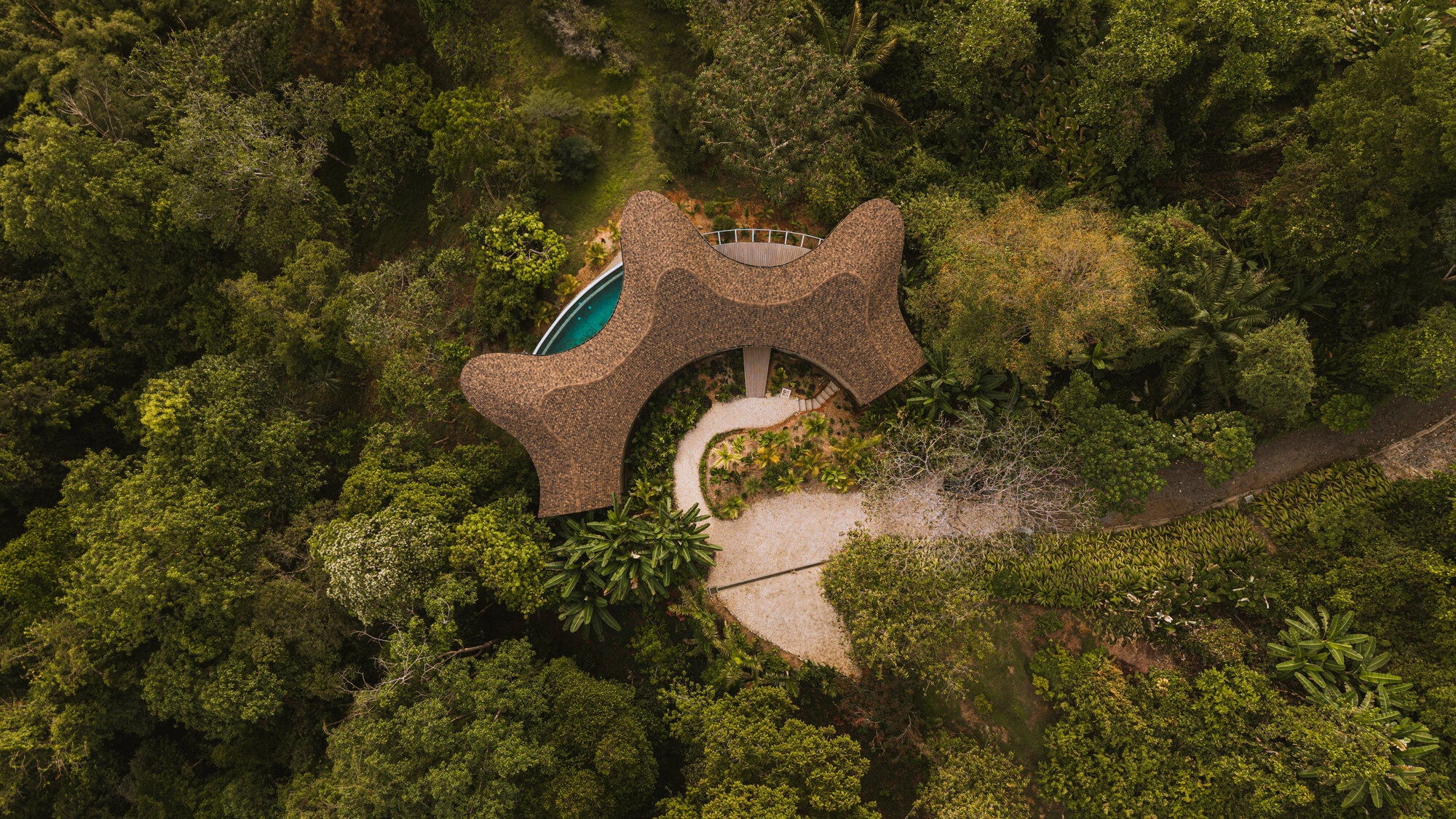 Top-down aerial showing the sculptural curved shingle roof set within a small clearing in the rainforest