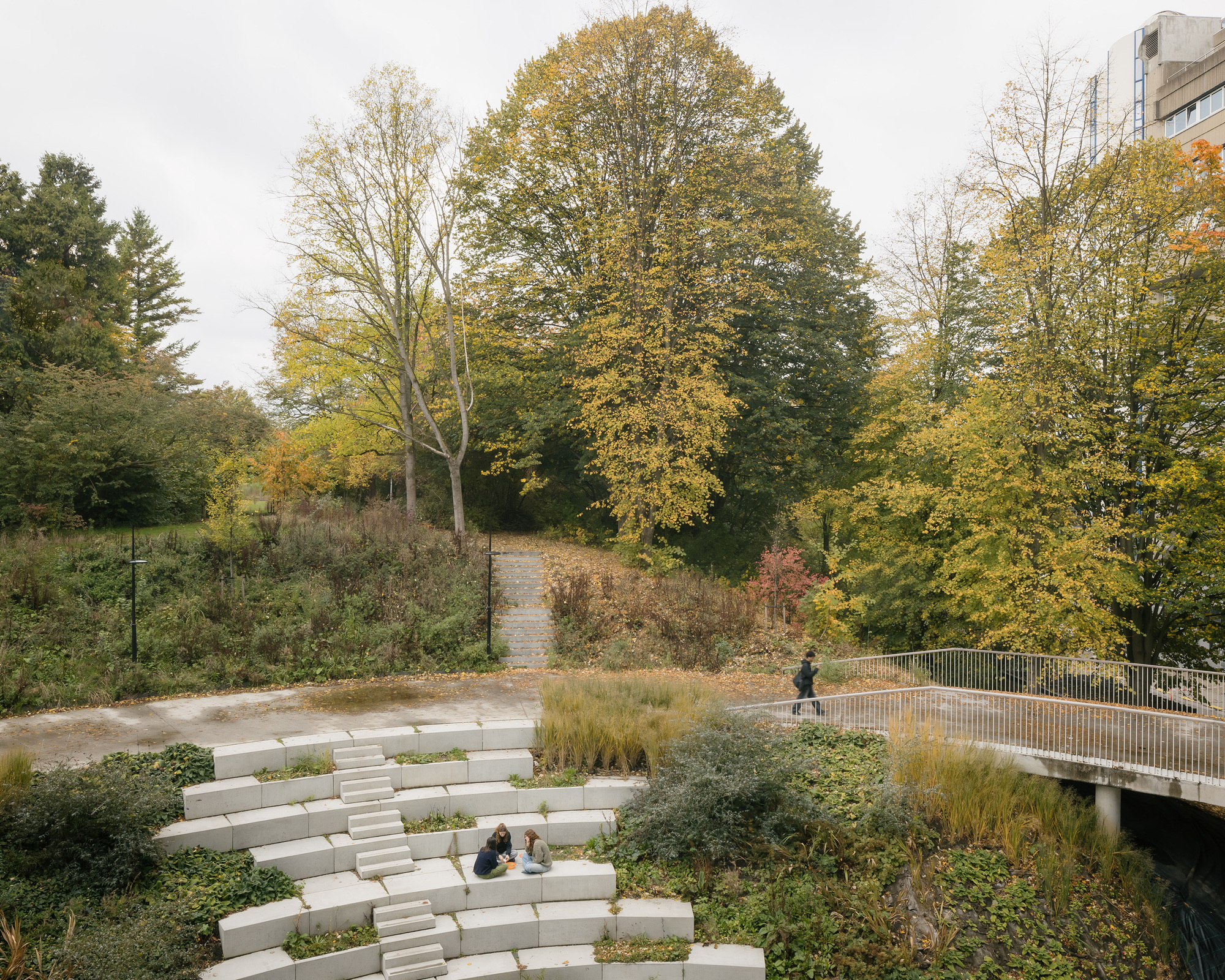 Stepped concrete amphitheatre seating built into the planted slope outside