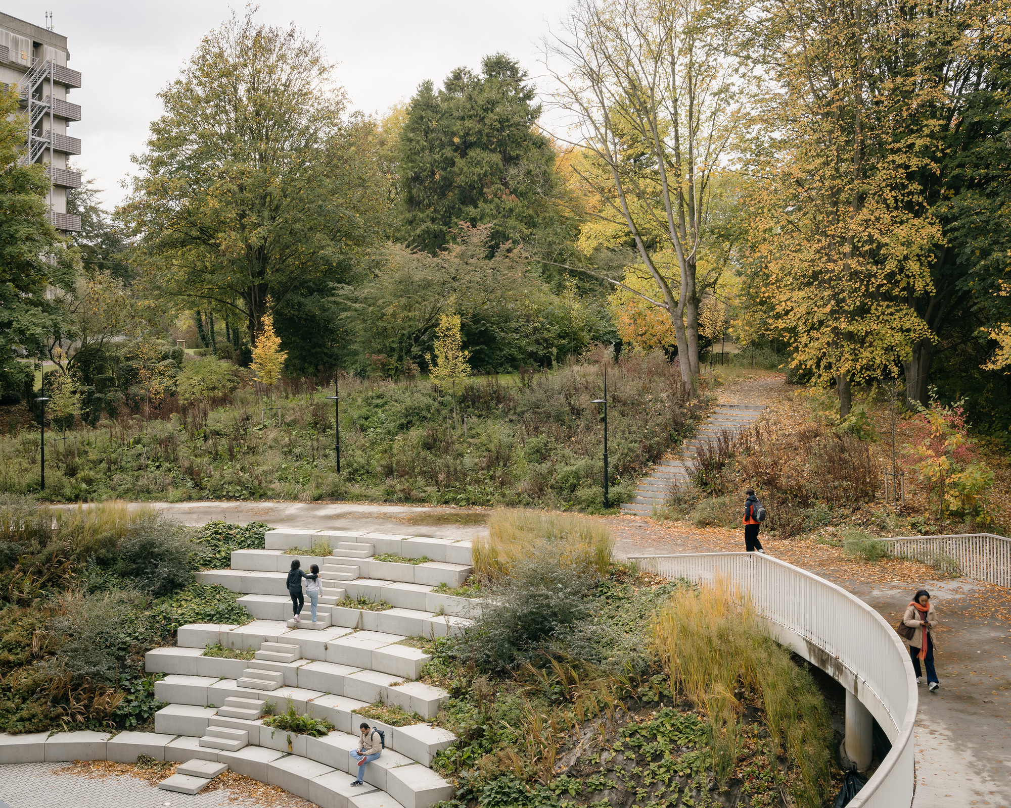 The amphitheatre and curved access path through the wild garden