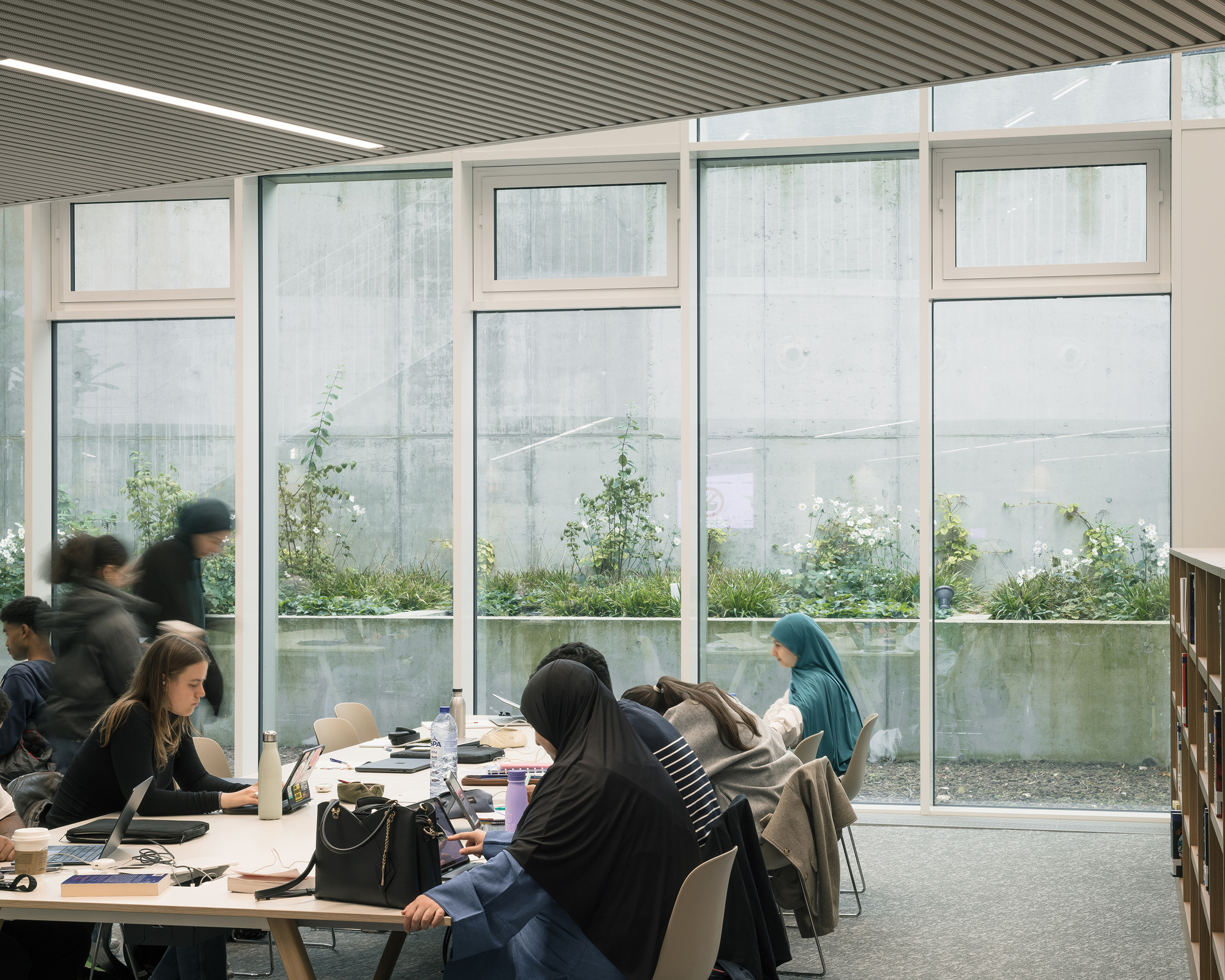 Group study tables along the glazed wall facing the planted courtyard
