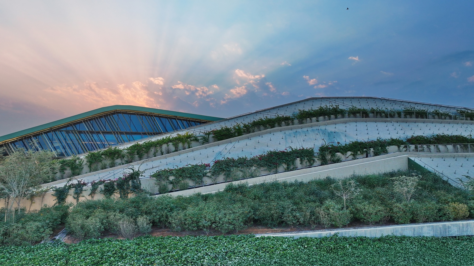 Planted terraces cascading down the concrete and glass facade at dusk