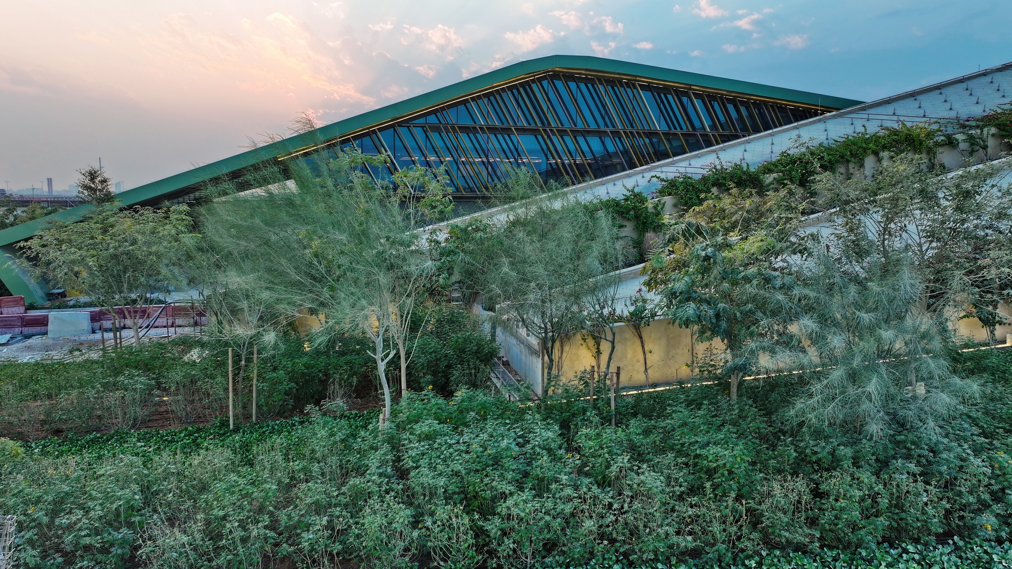 Sloped green roof with integrated glazing rising above terraced planting at dusk