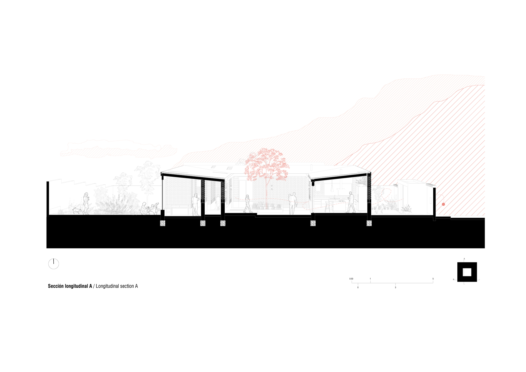 Longitudinal section drawing showing interior spaces with pitched roof and a central tree