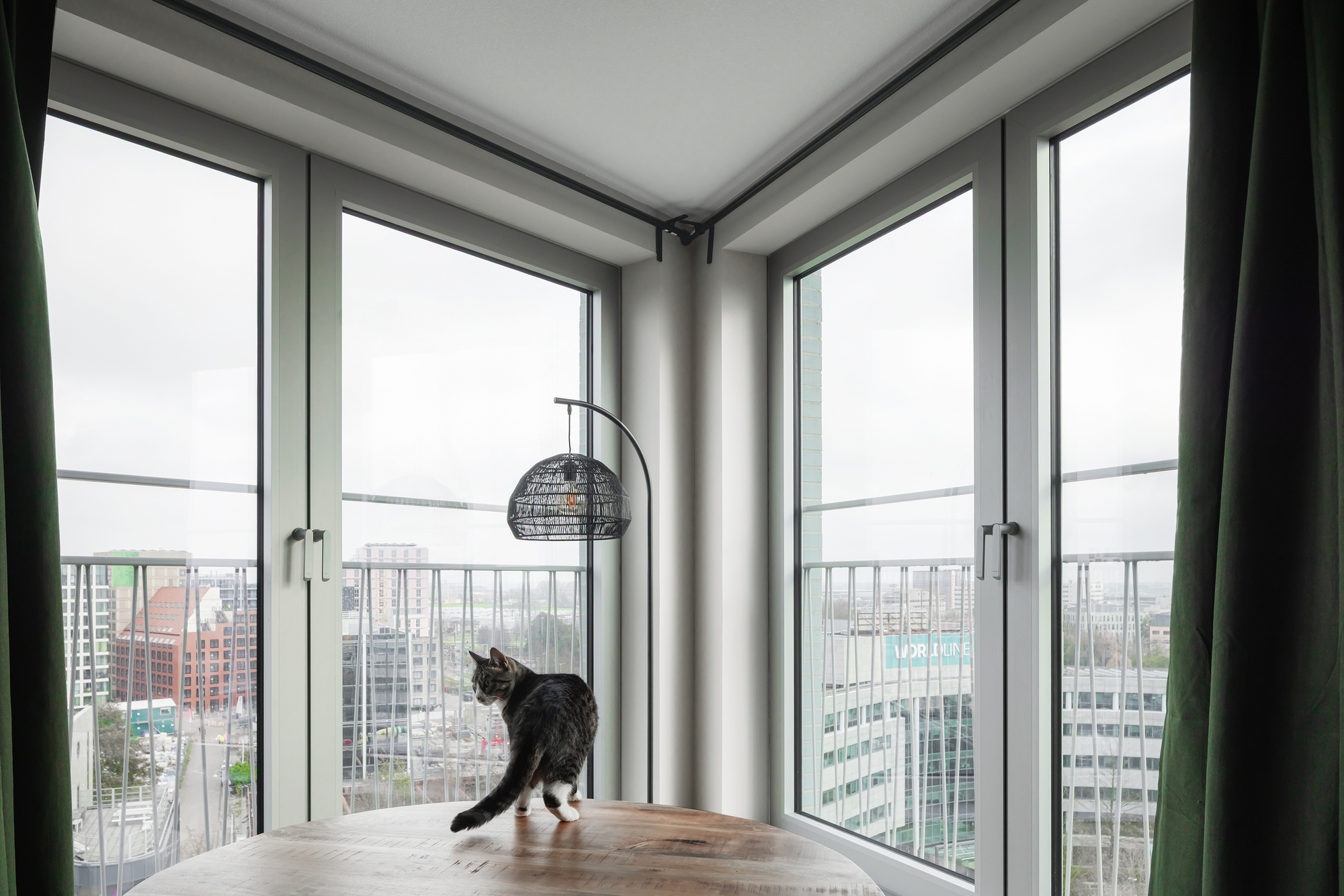 Corner window with a cat walking on the sill and a wire pendant light overhead