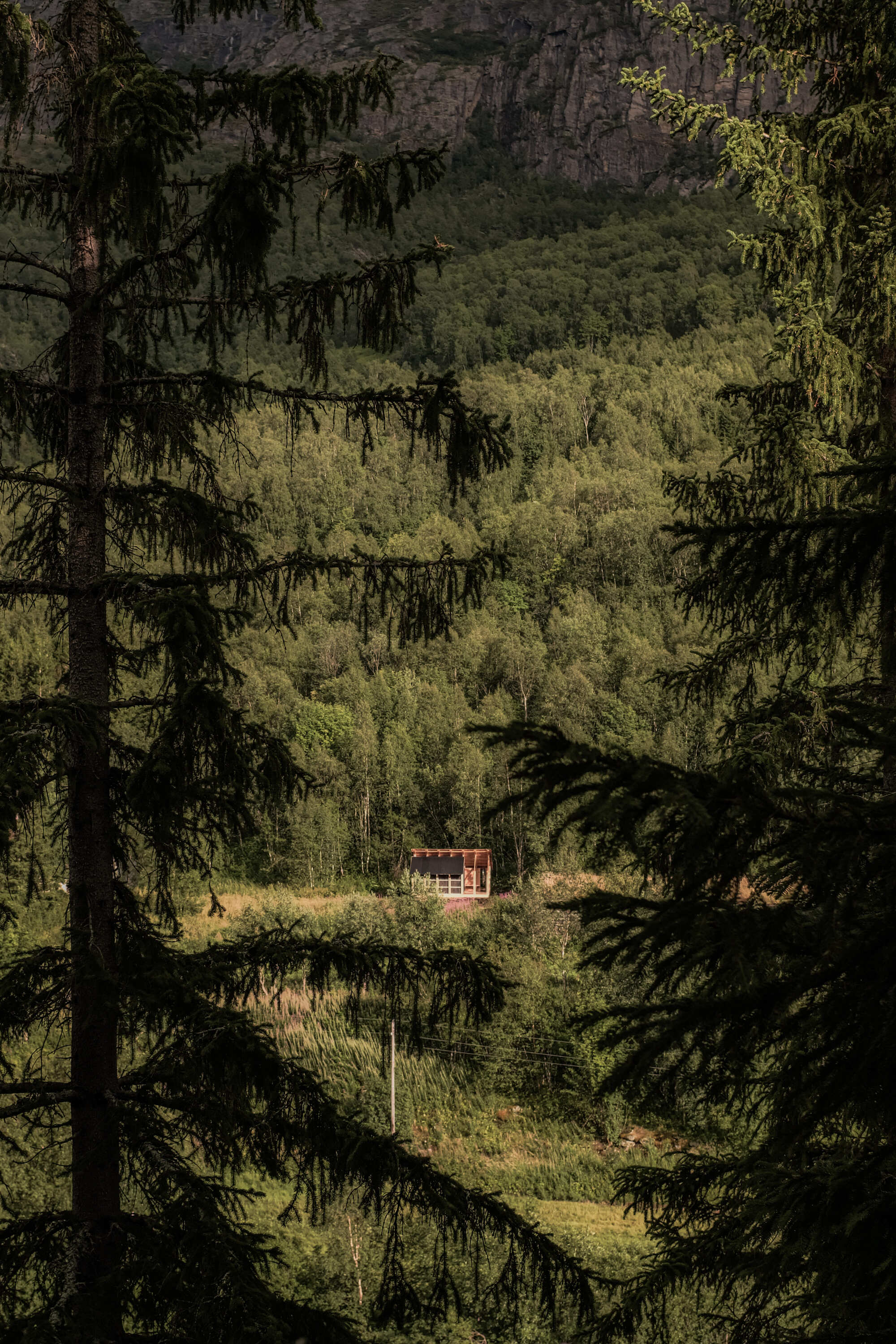 Distant view of the small timber structure through evergreen trees in a mountain clearing