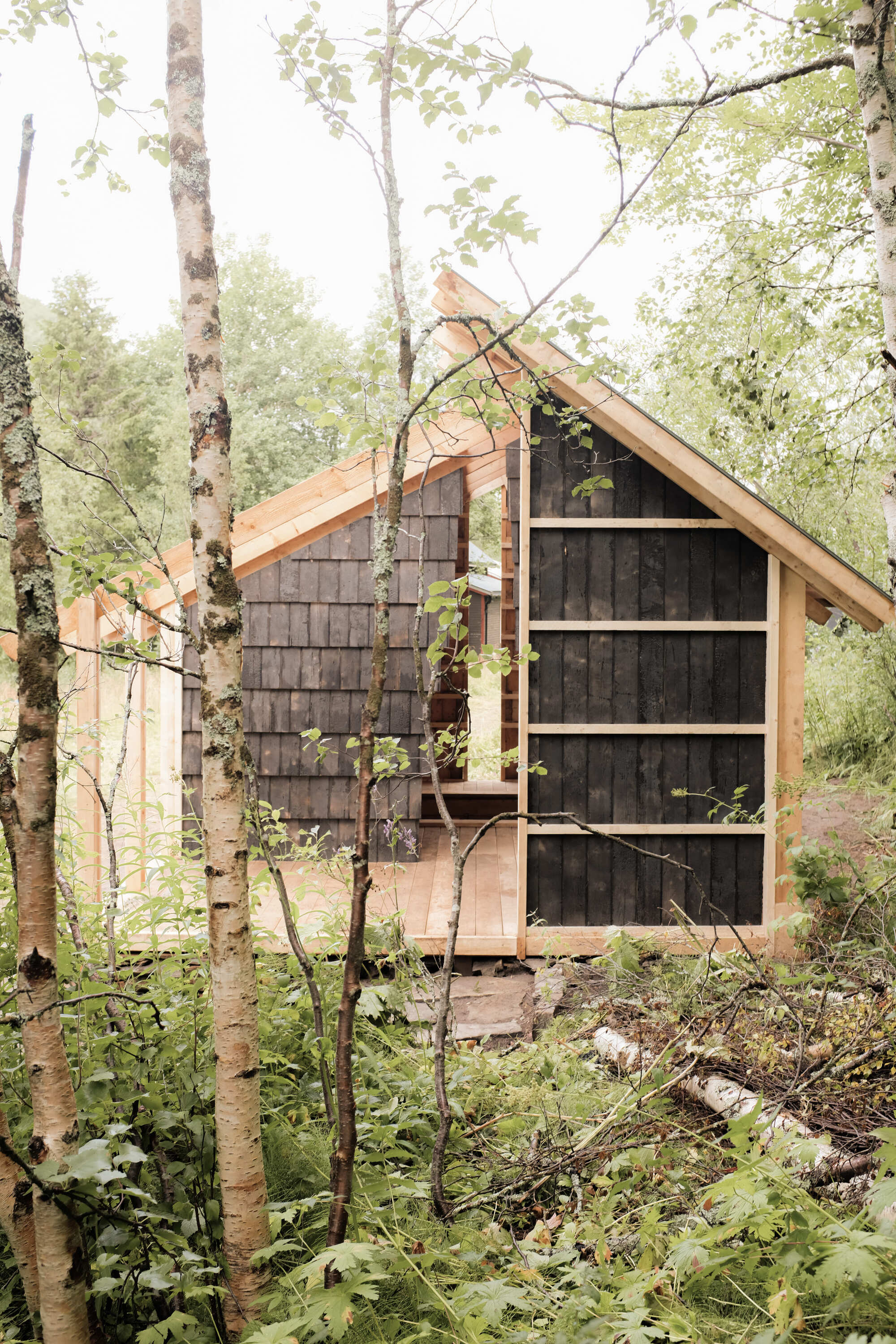 Gable end clad in dark shingles with large glazed opening framed by birch trees