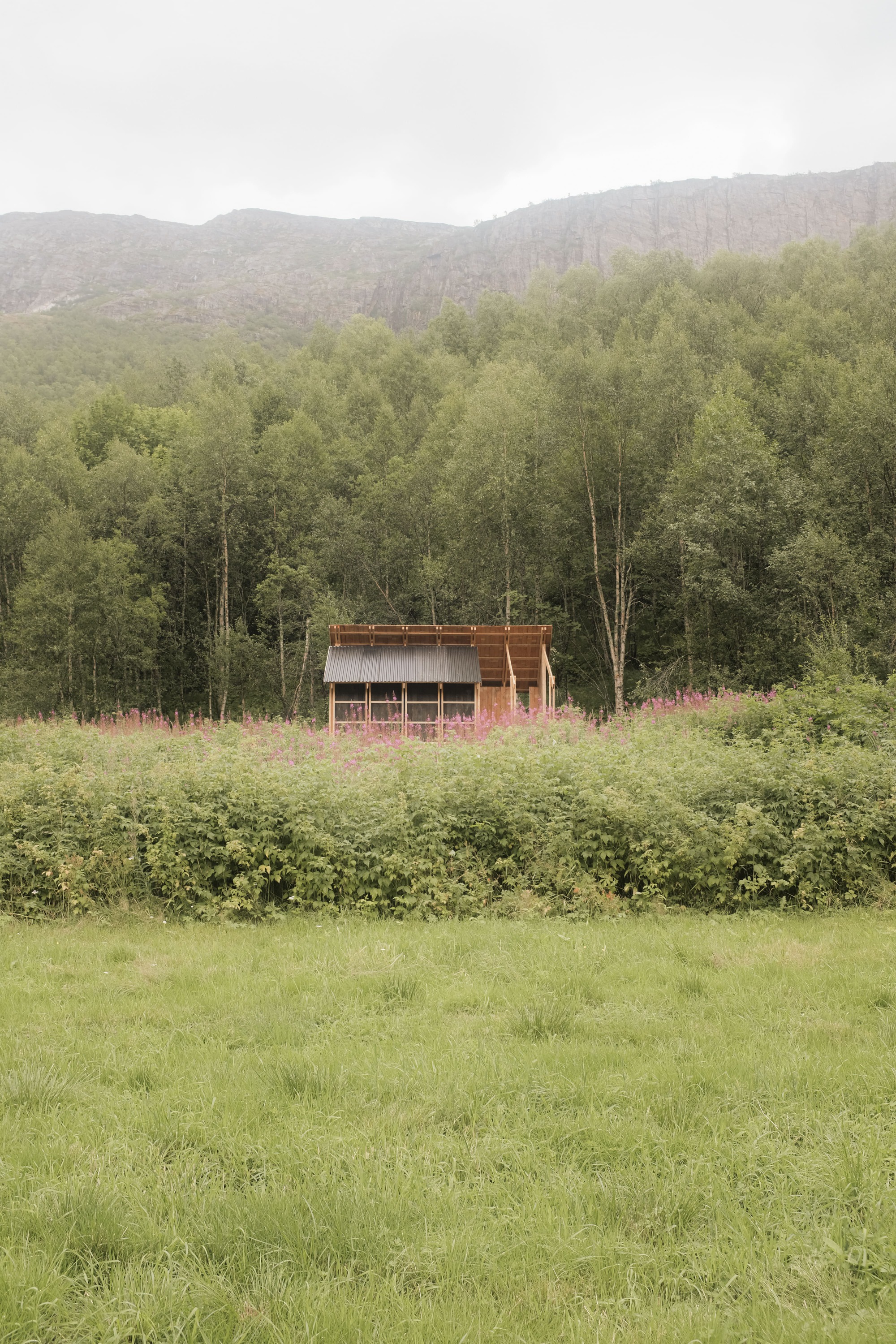 The pavilion across a wildflower meadow with forested mountains under overcast skies
