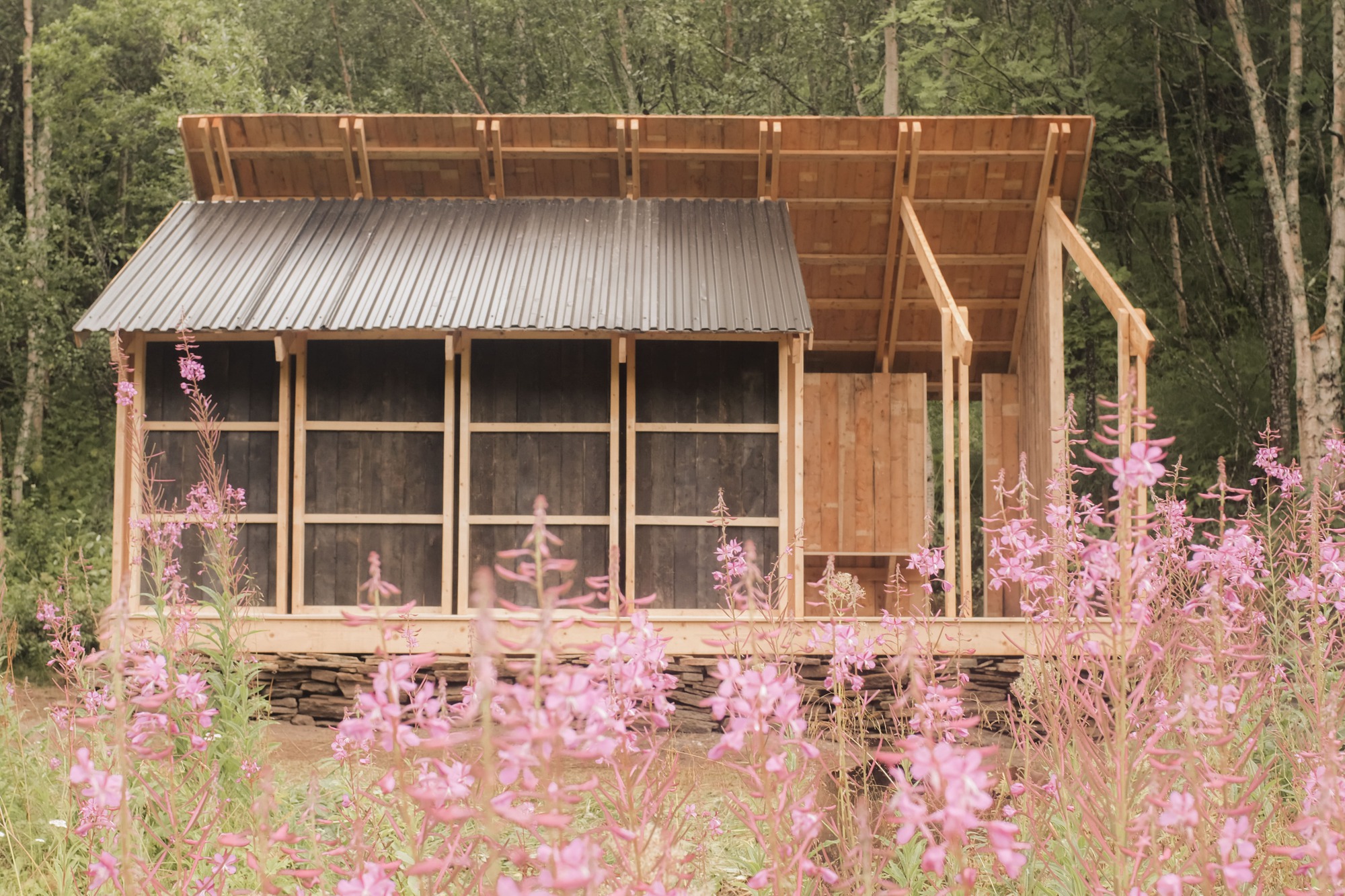 Timber frame structure with corrugated metal roof and screened walls framed by pink wildflowers